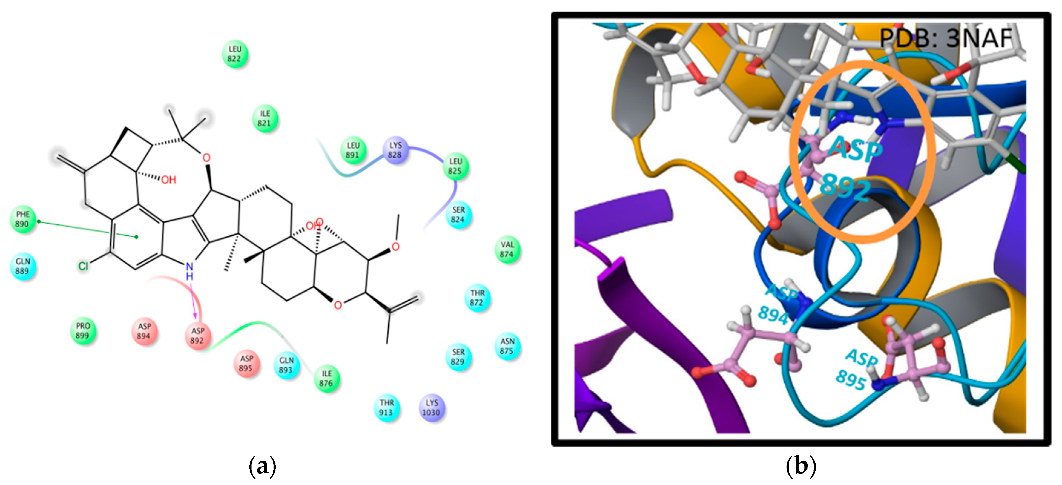 Marinedrugs 16 00157 g005 550