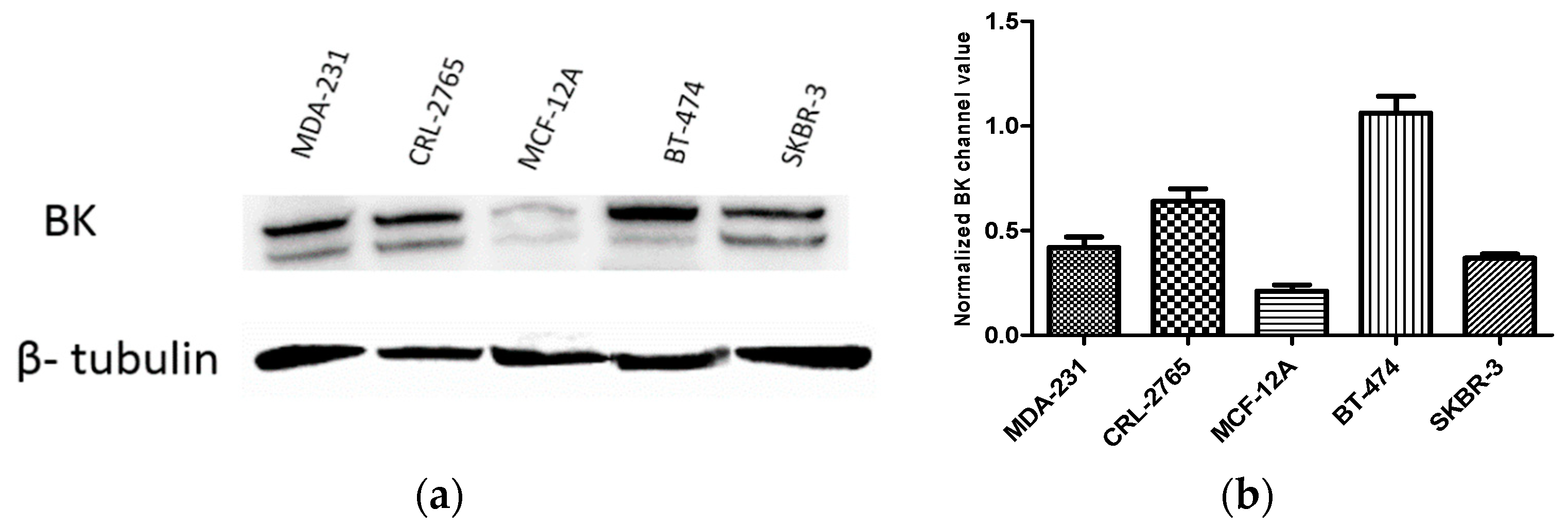 Marinedrugs 16 00157 g006 550