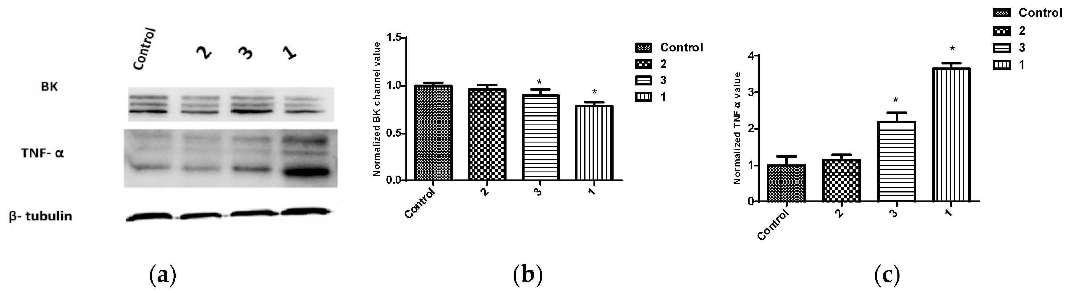 Marinedrugs 16 00157 g007 550