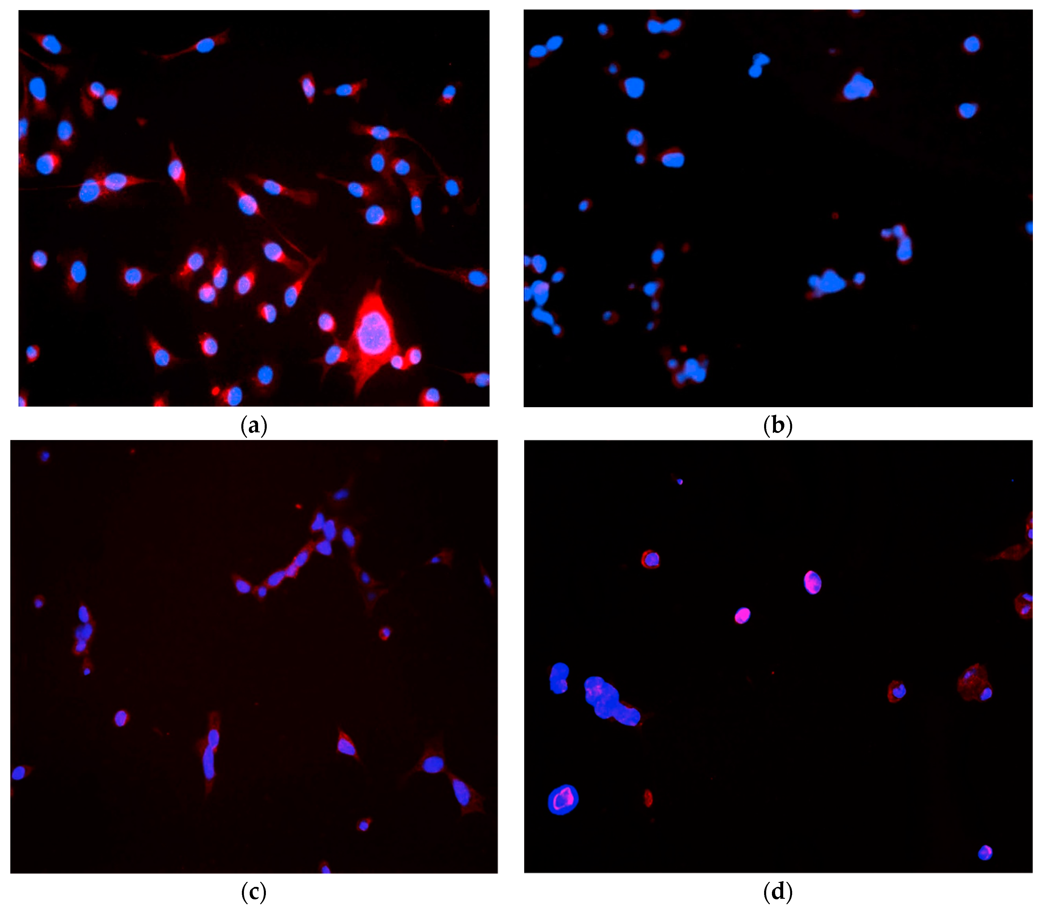 Marinedrugs 16 00157 g010 550