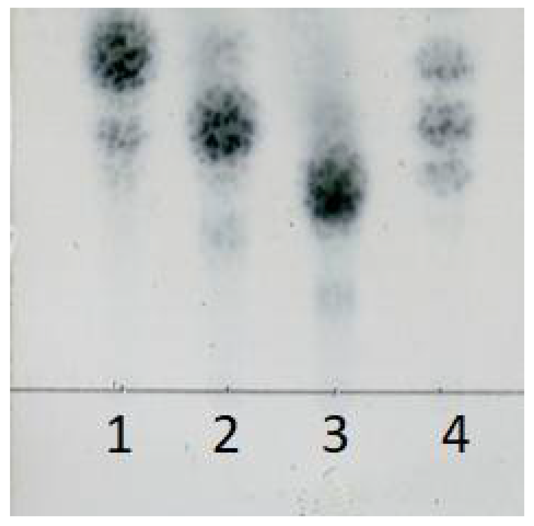 Marinedrugs 16 00158 g011 550