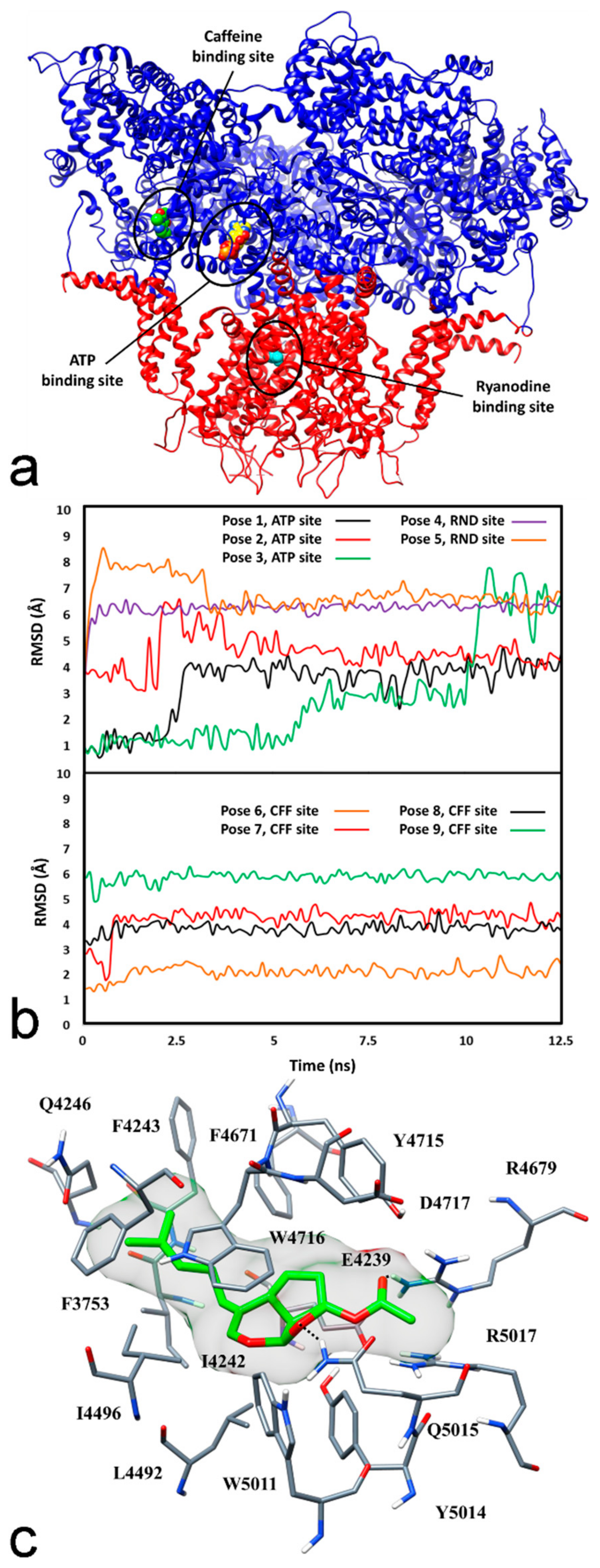 Marinedrugs 16 00166 g004