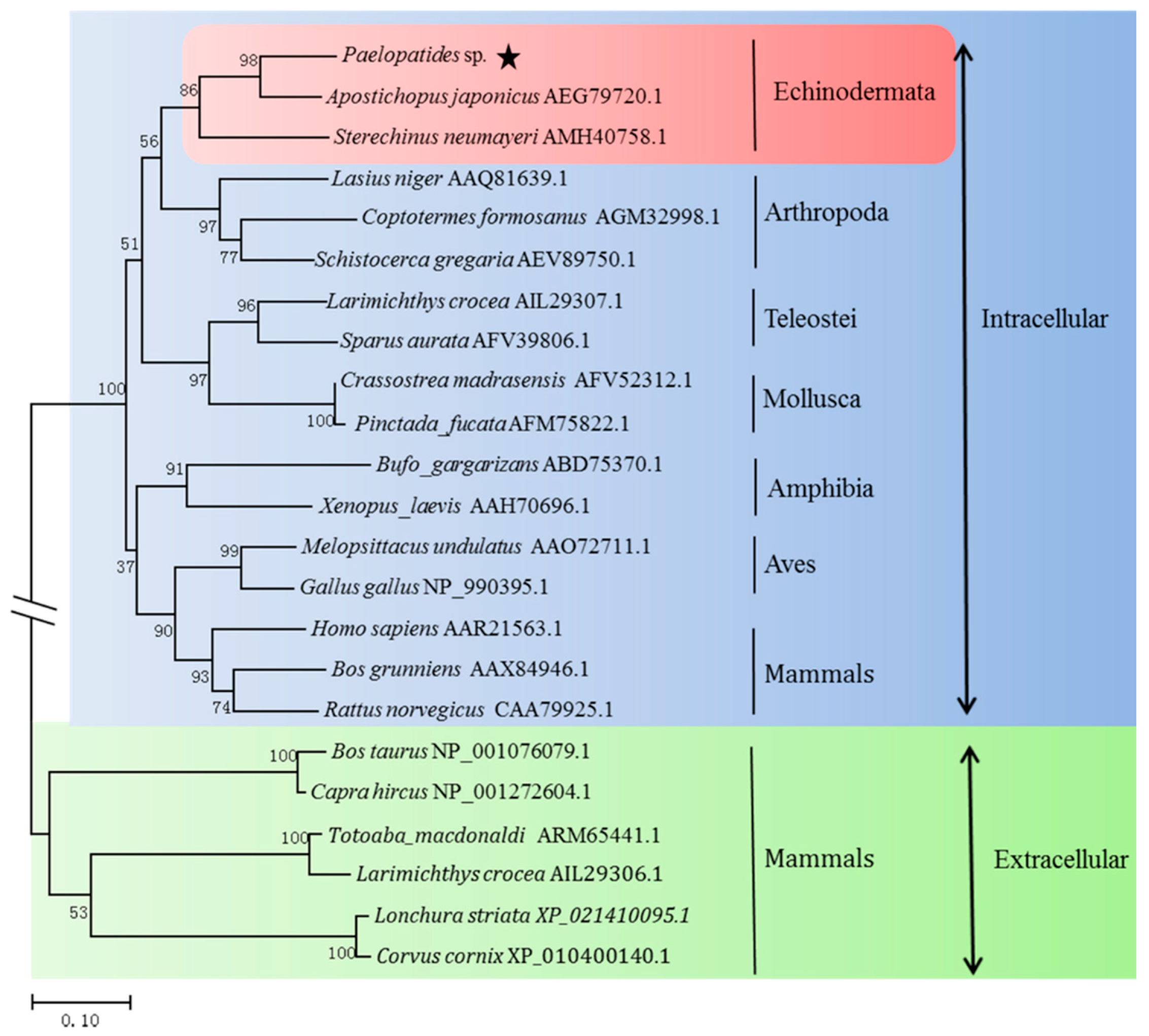 Marinedrugs 16 00169 g004