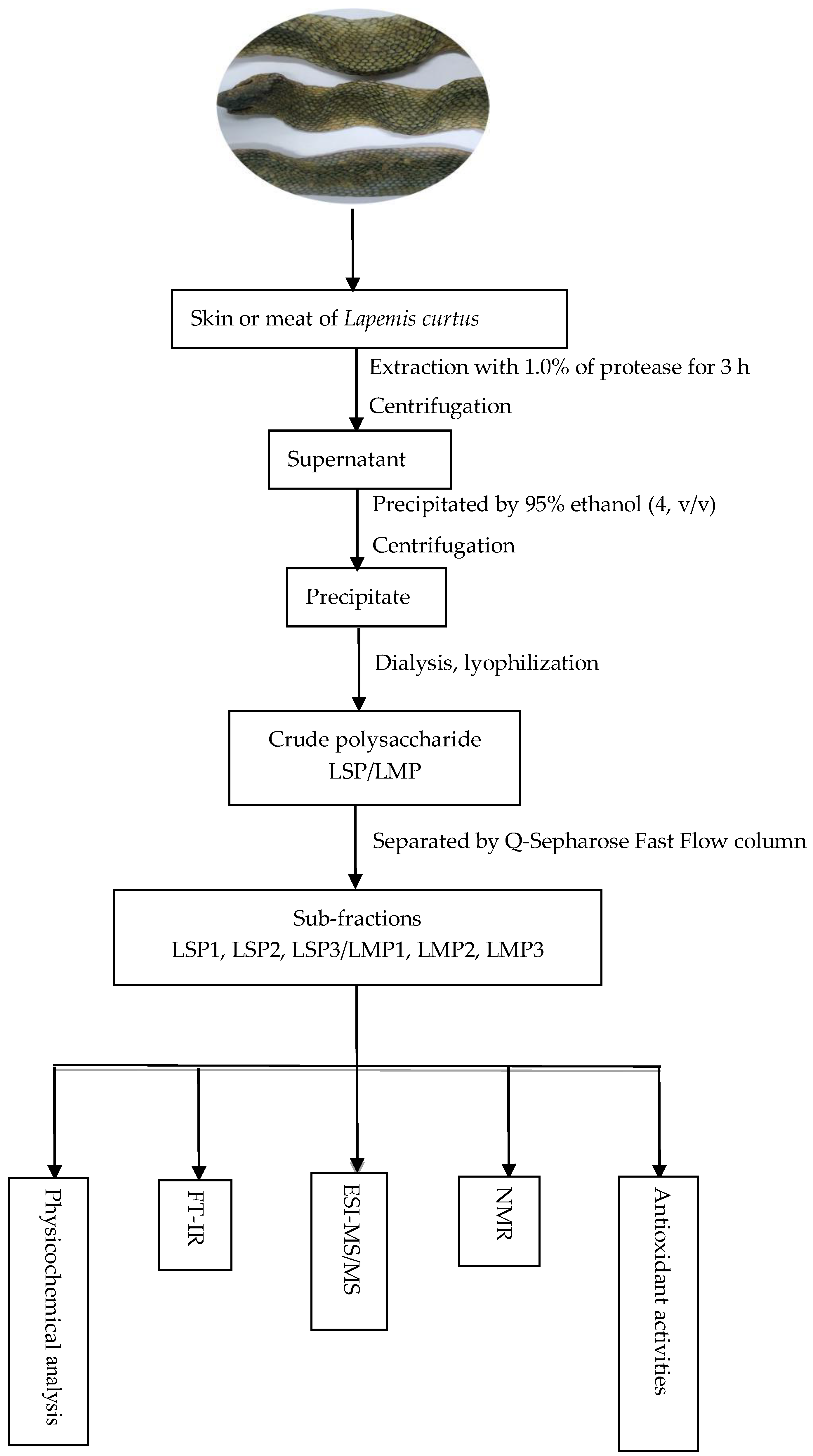 Marinedrugs 16 00170 g001