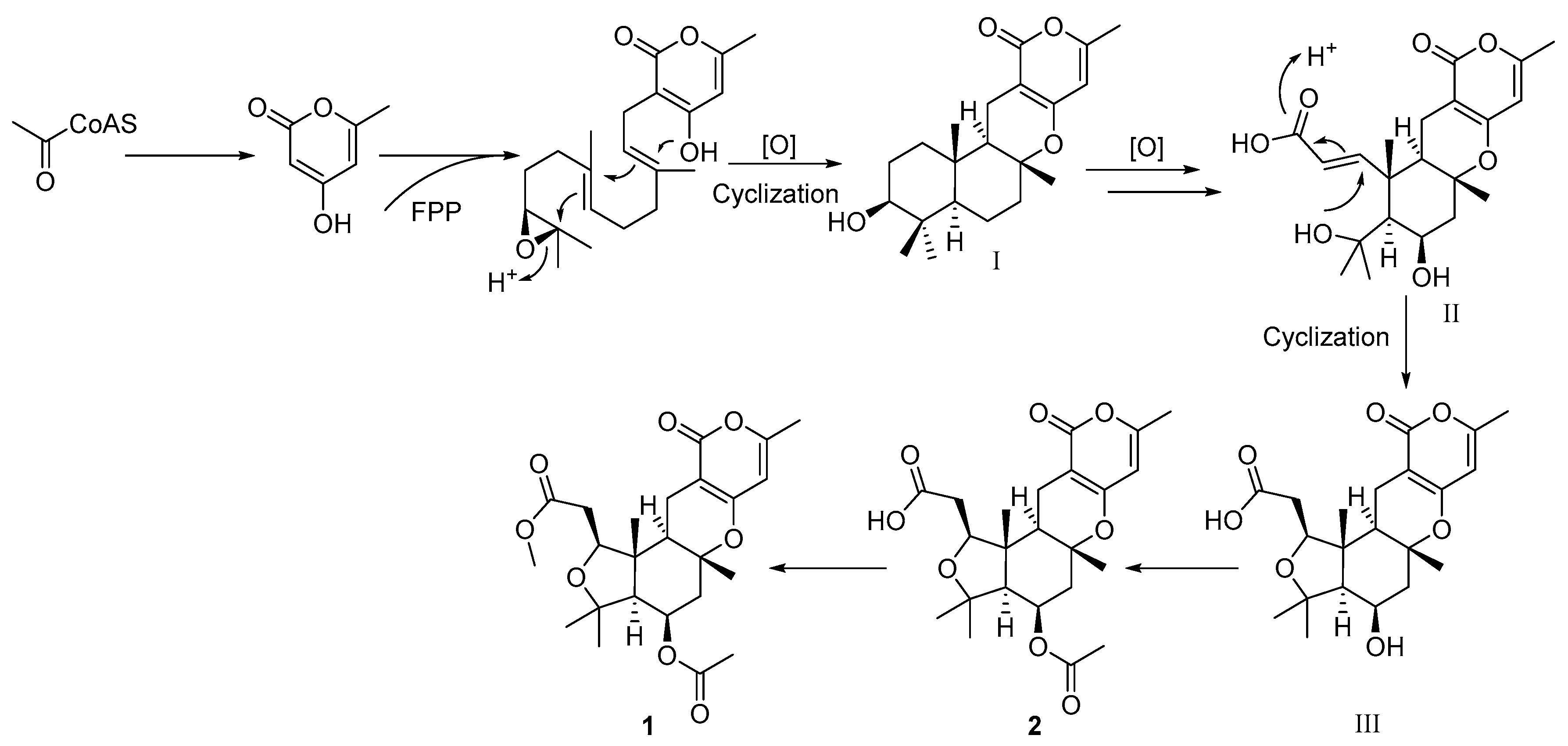 Marinedrugs 16 00177 sch001