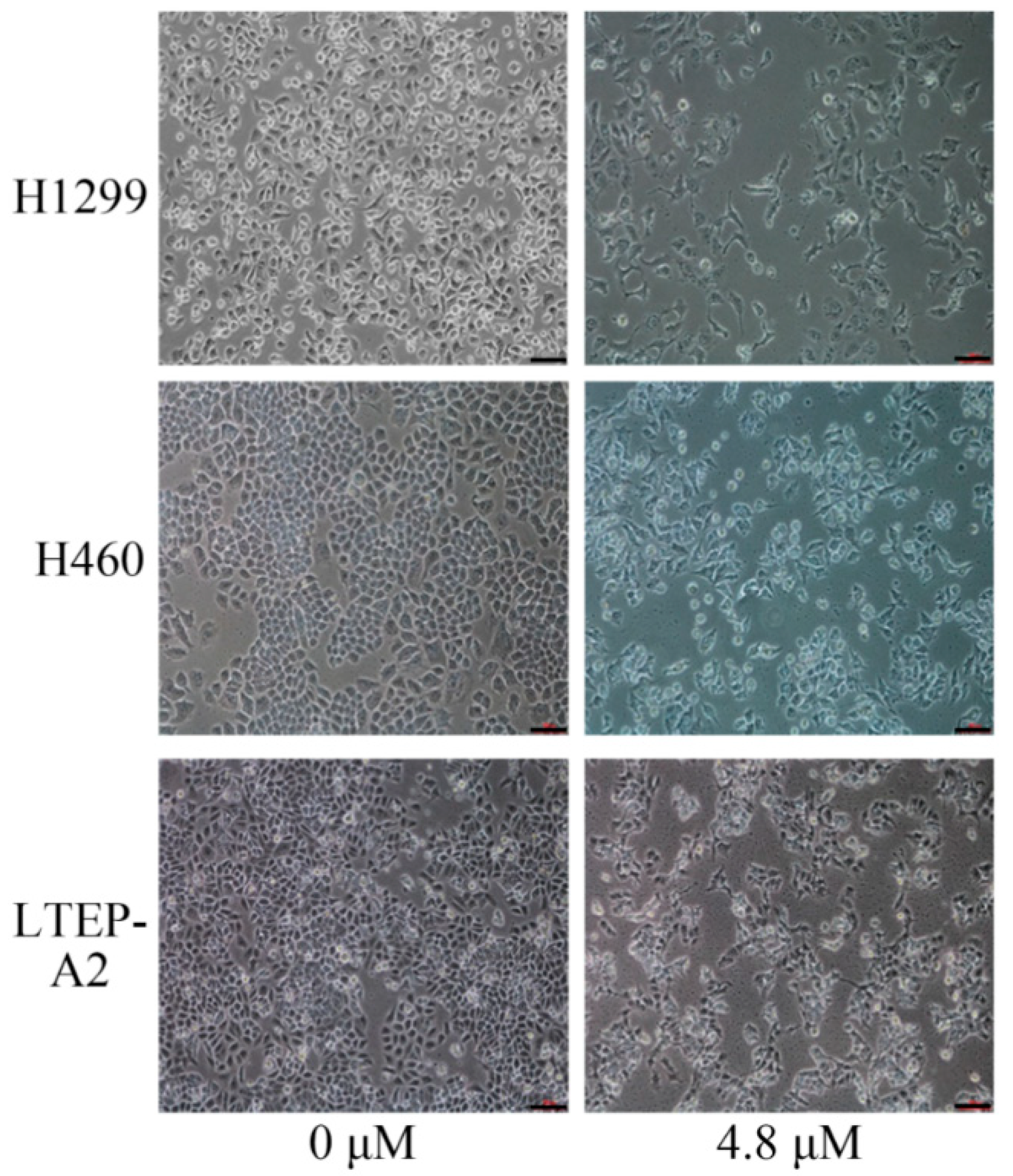 Marinedrugs 16 00178 g001 550