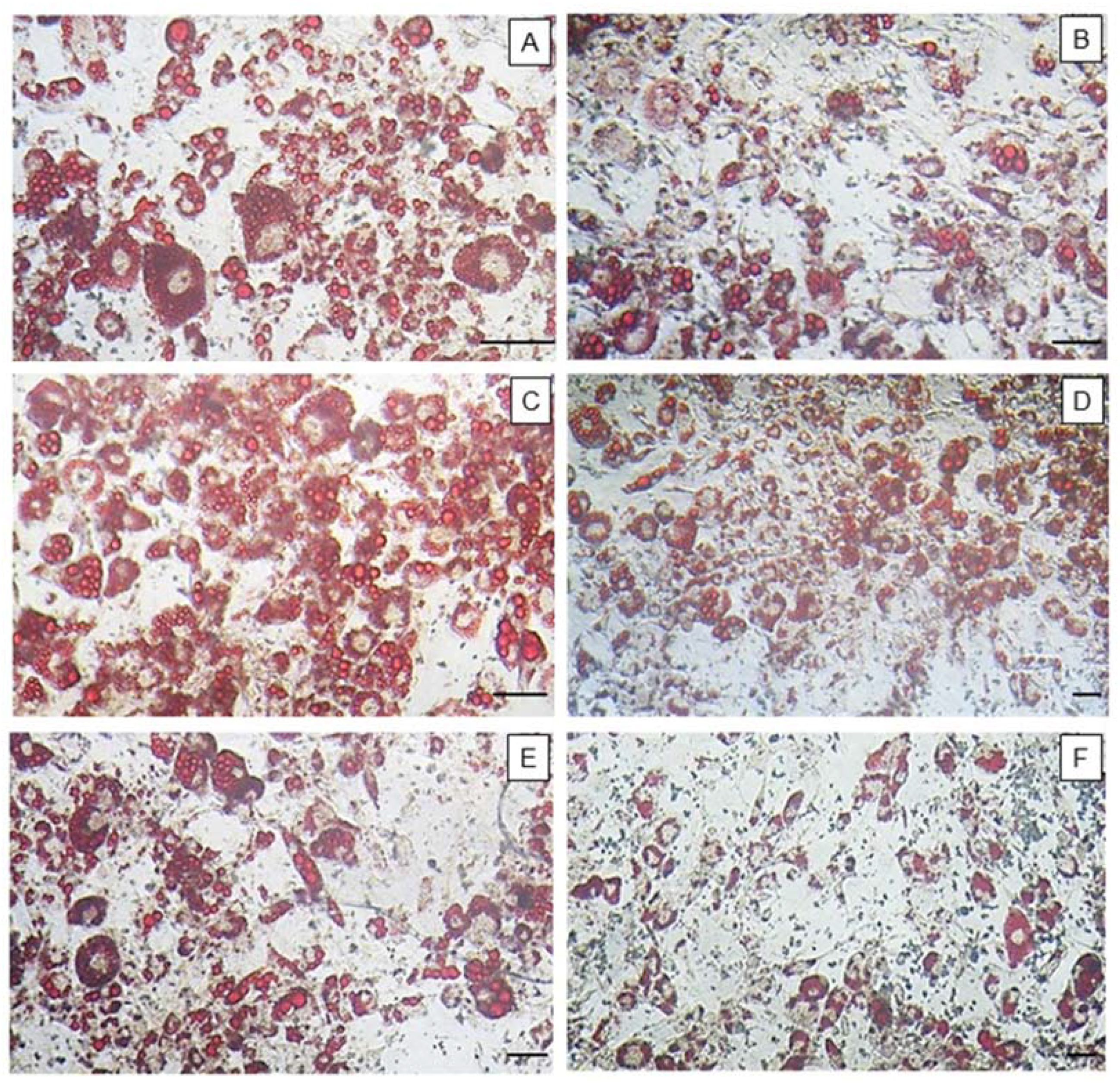 Marinedrugs 16 00193 g003