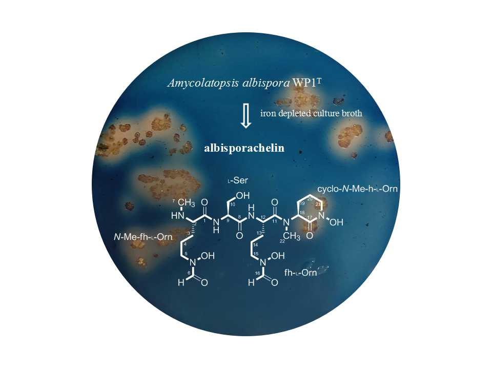 deep work pdf download deep work pdf download