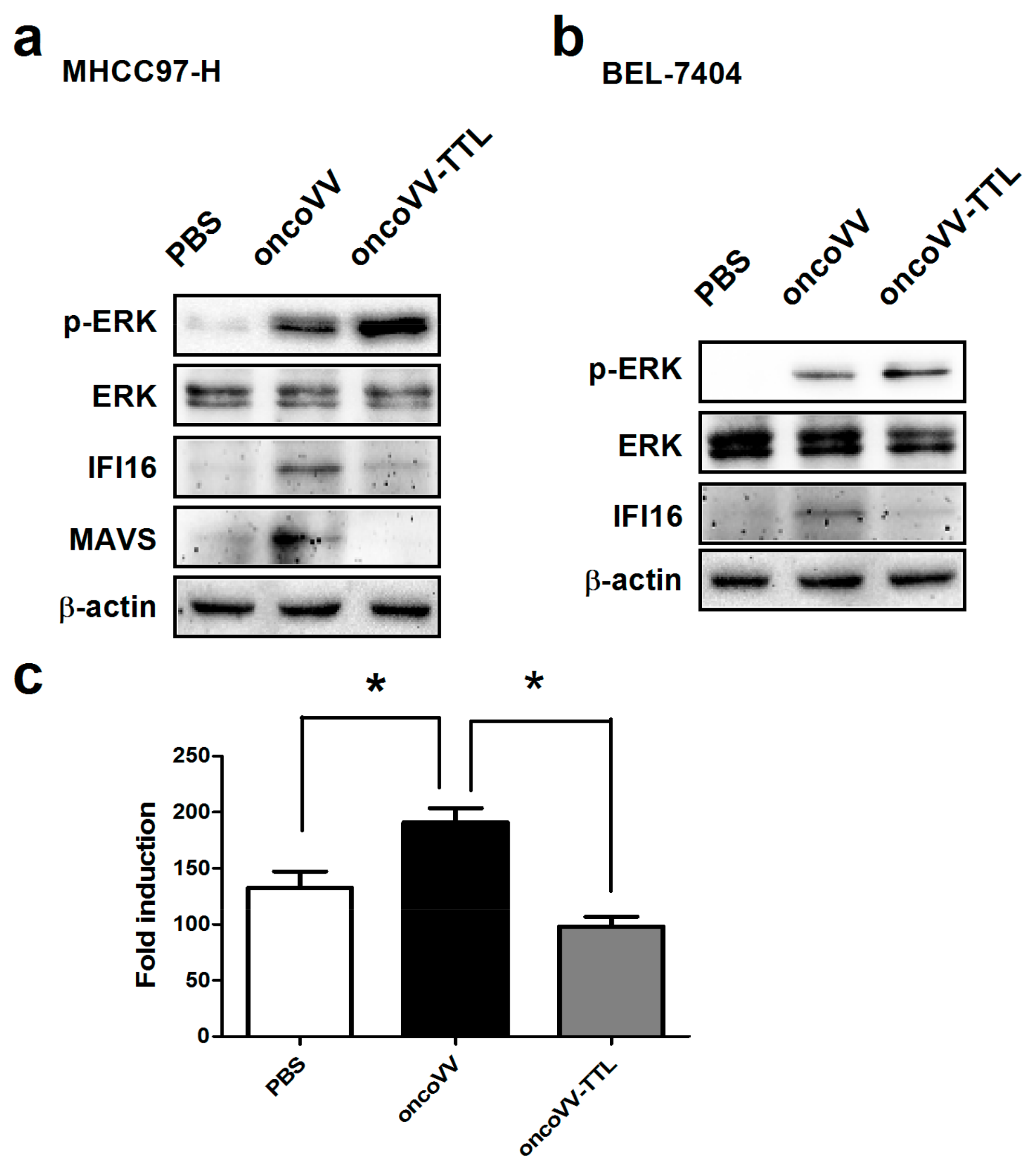 Marinedrugs 16 00200 g003 Marinedrugs 16 00200 g003