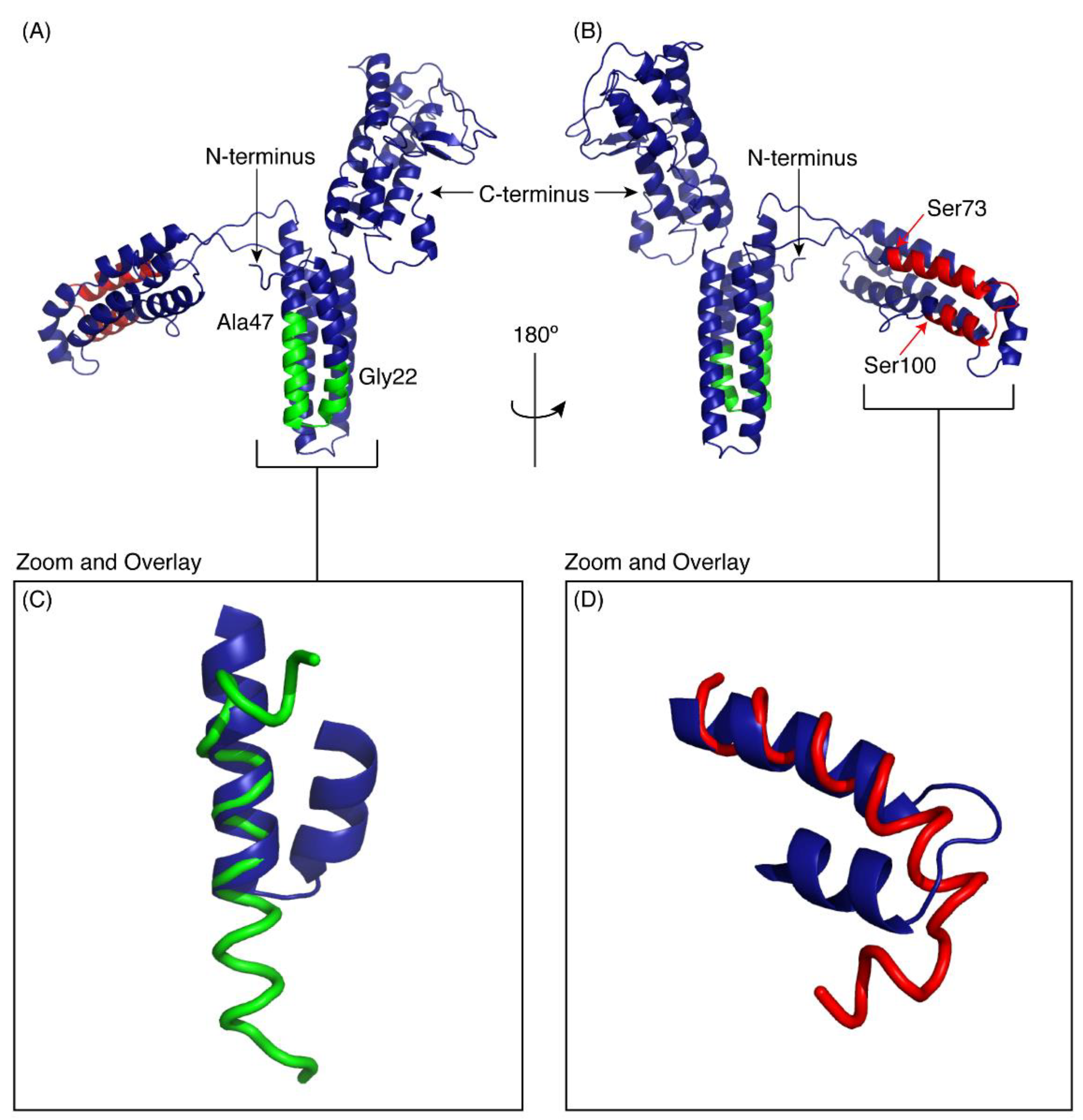 Marinedrugs 16 00201 g005