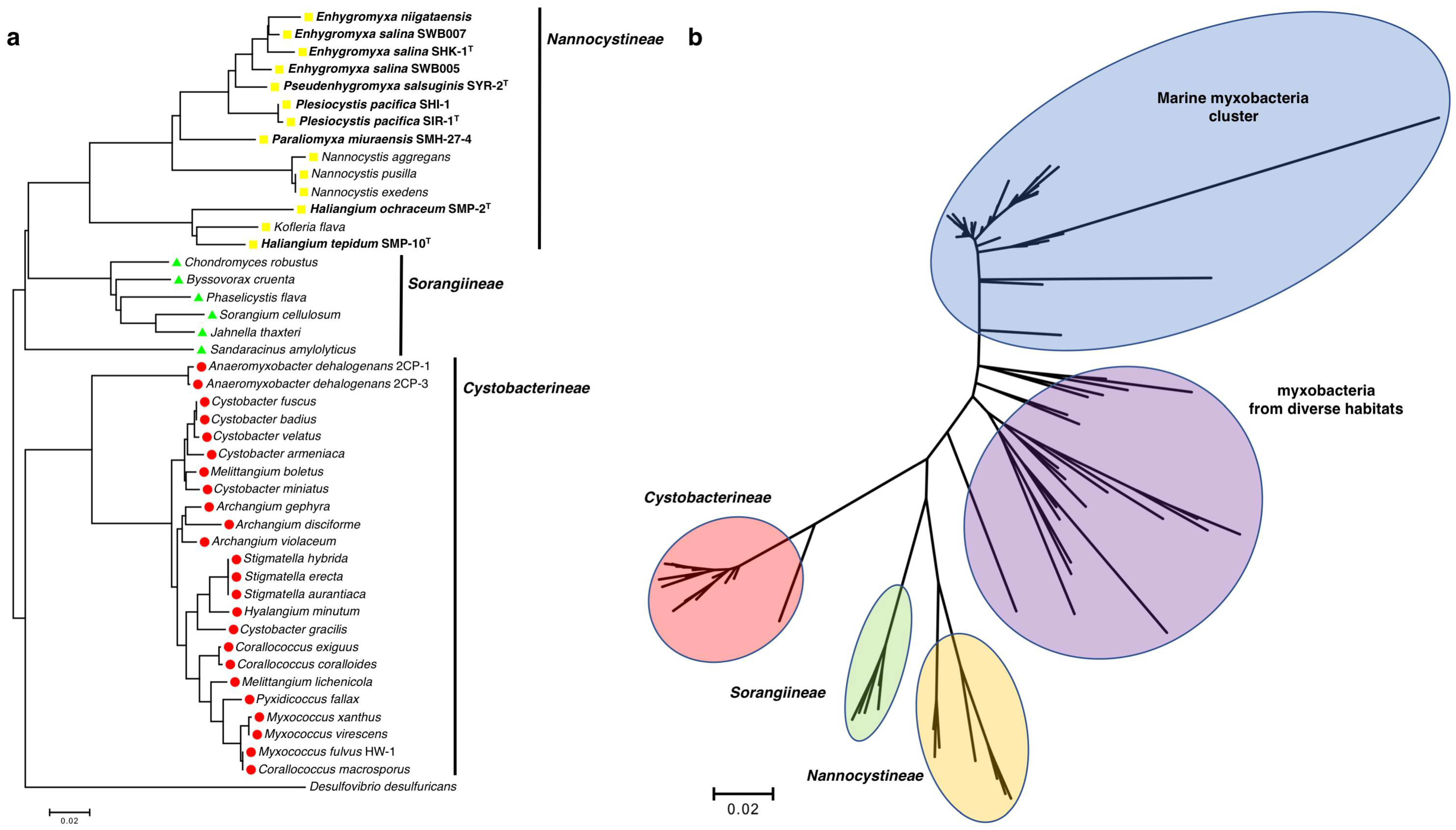 Marinedrugs 16 00209 g001 Marinedrugs 16 00209 g001