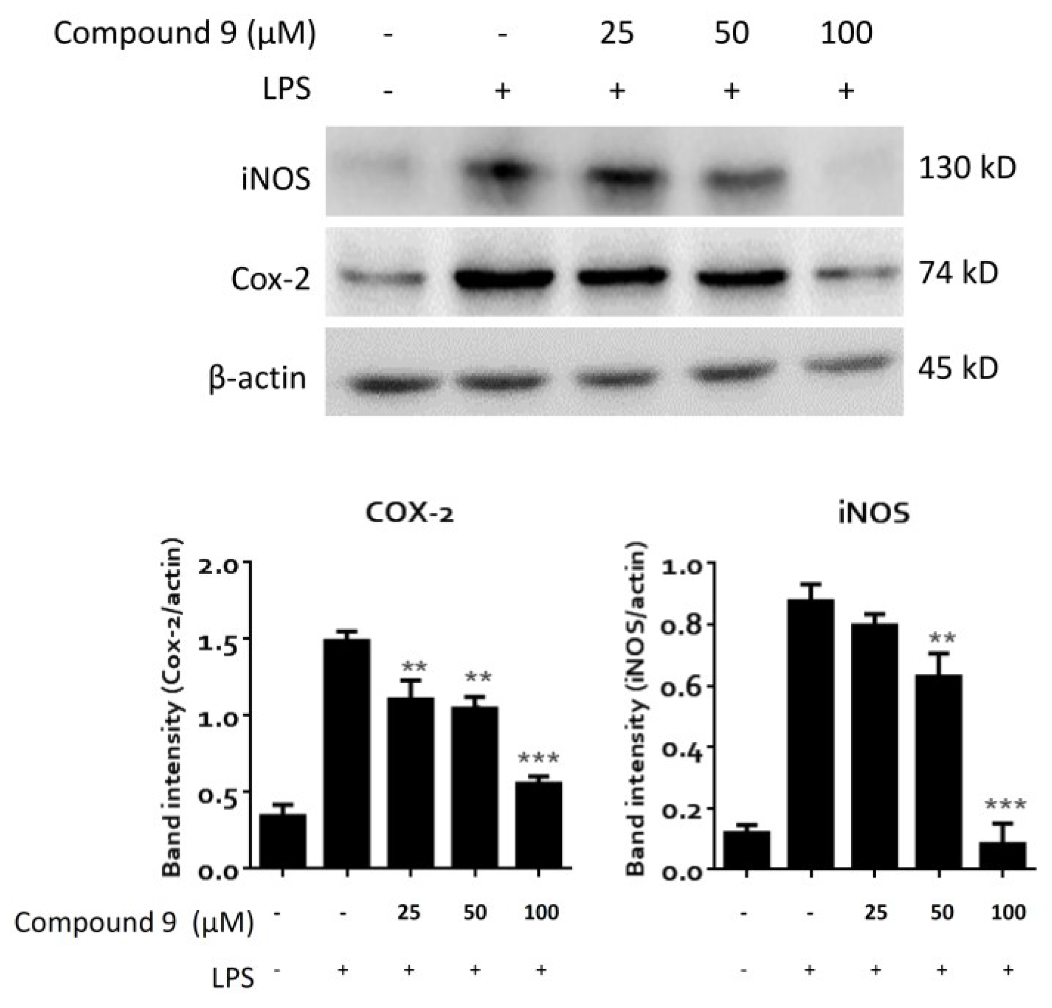 Marinedrugs 16 00210 g008 Marinedrugs 16 00210 g008