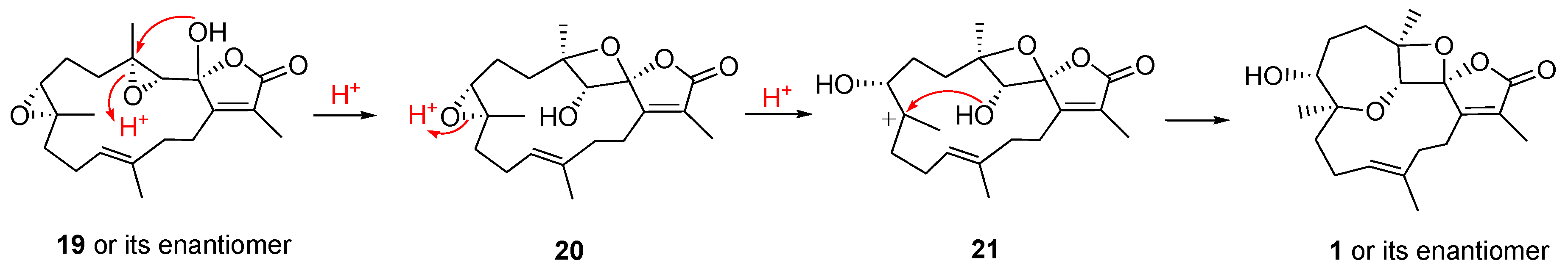 Marinedrugs 16 00210 sch001 Marinedrugs 16 00210 sch001