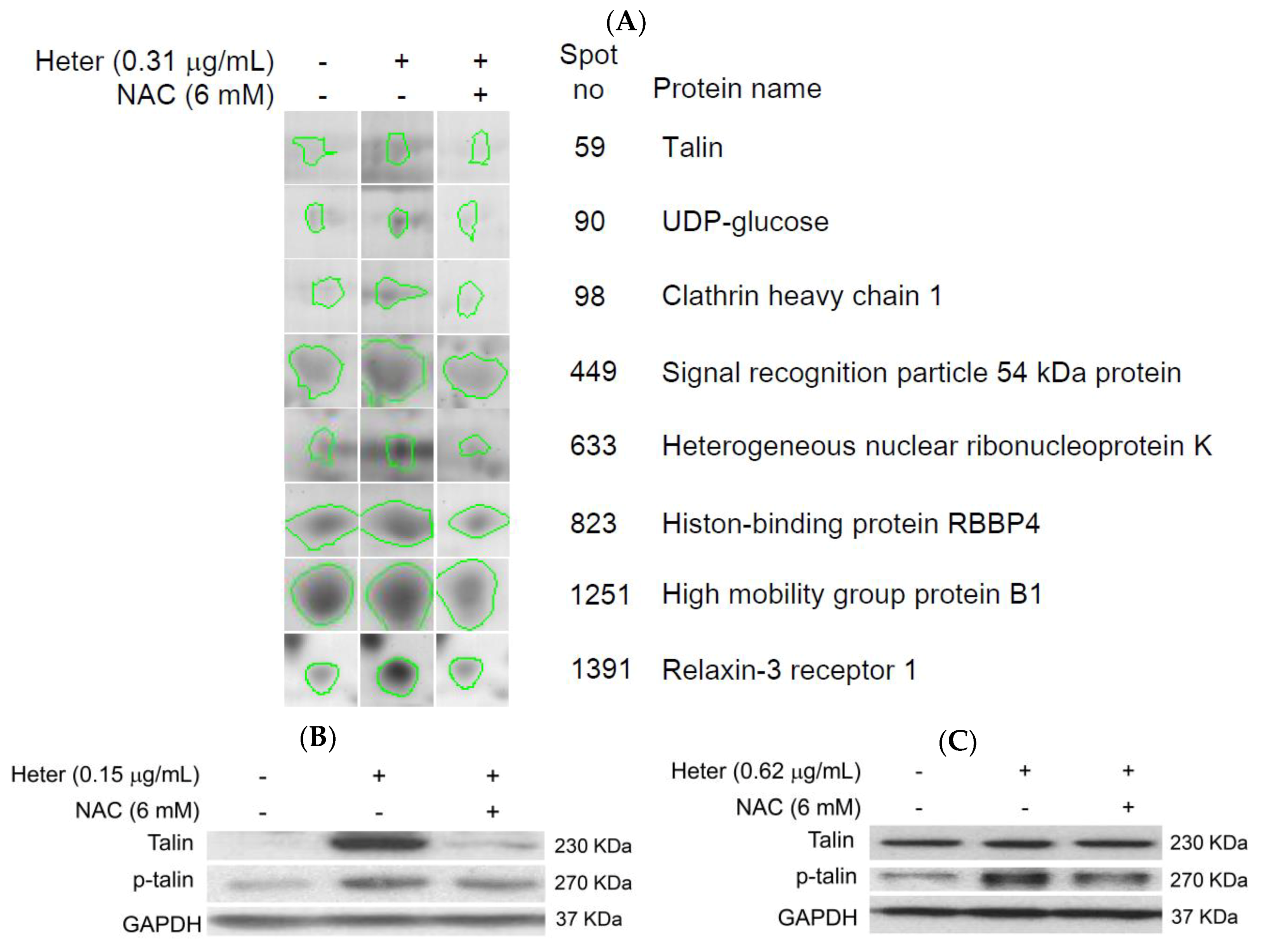 Marinedrugs 16 00212 g006a Marinedrugs 16 00212 g006a