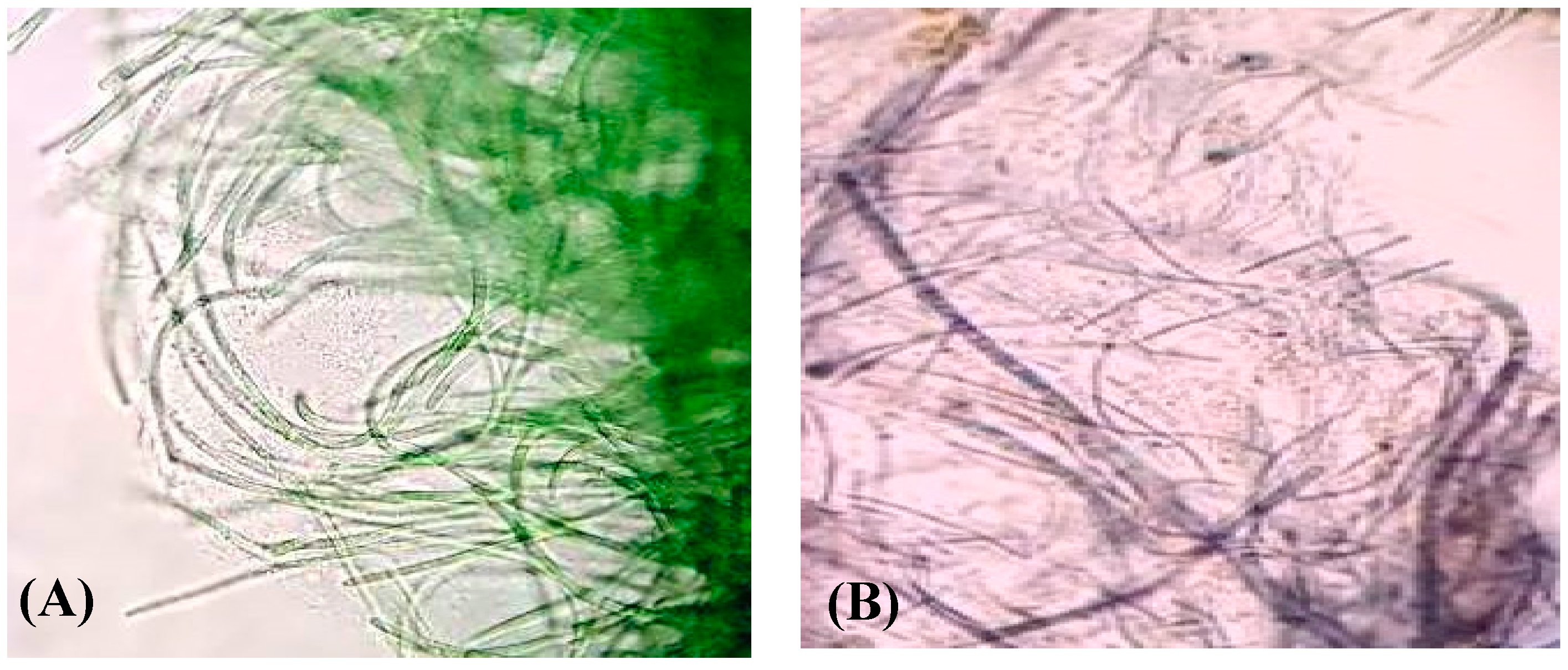 Marinedrugs 16 00217 g001