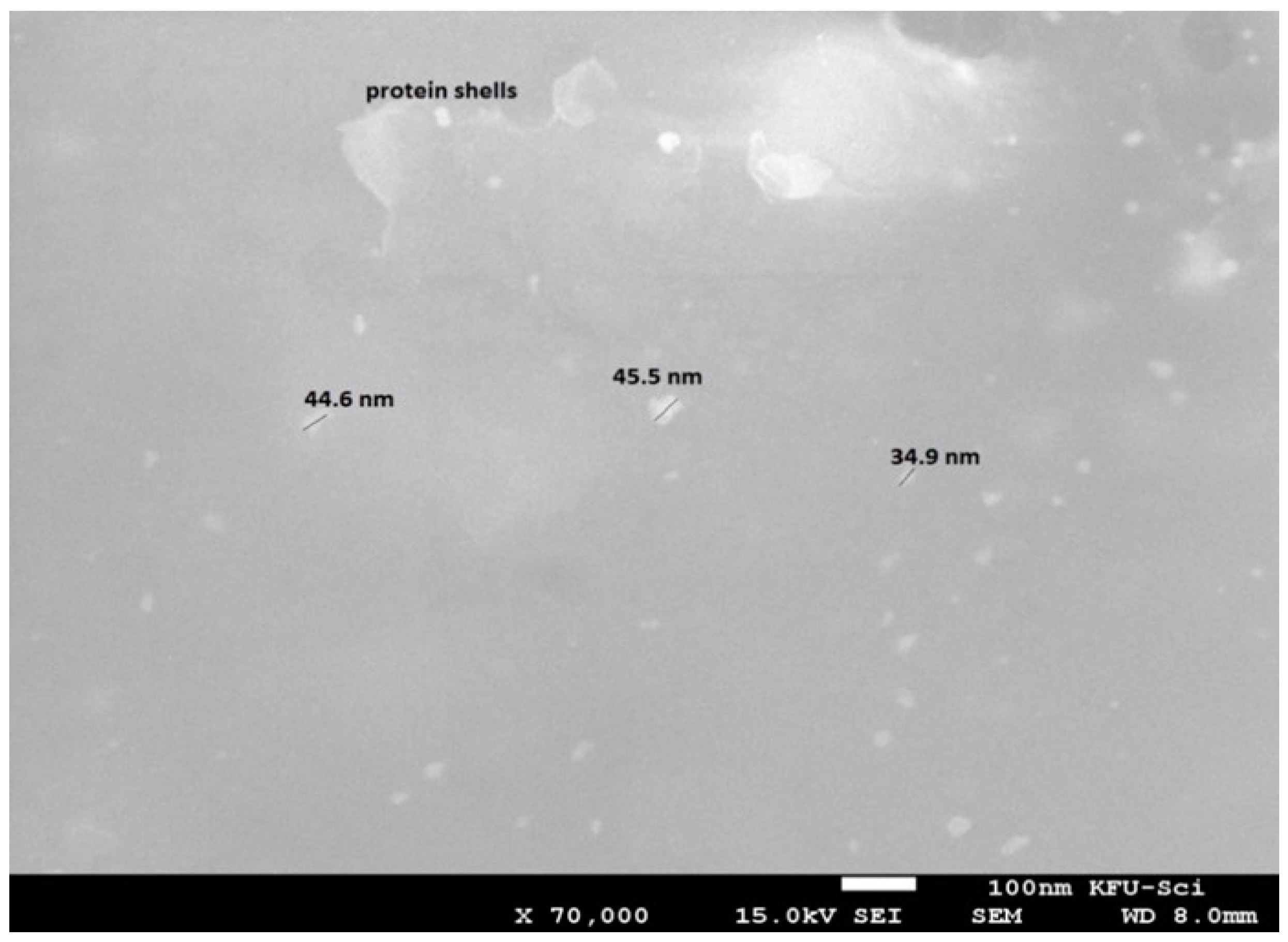 Marinedrugs 16 00217 g003