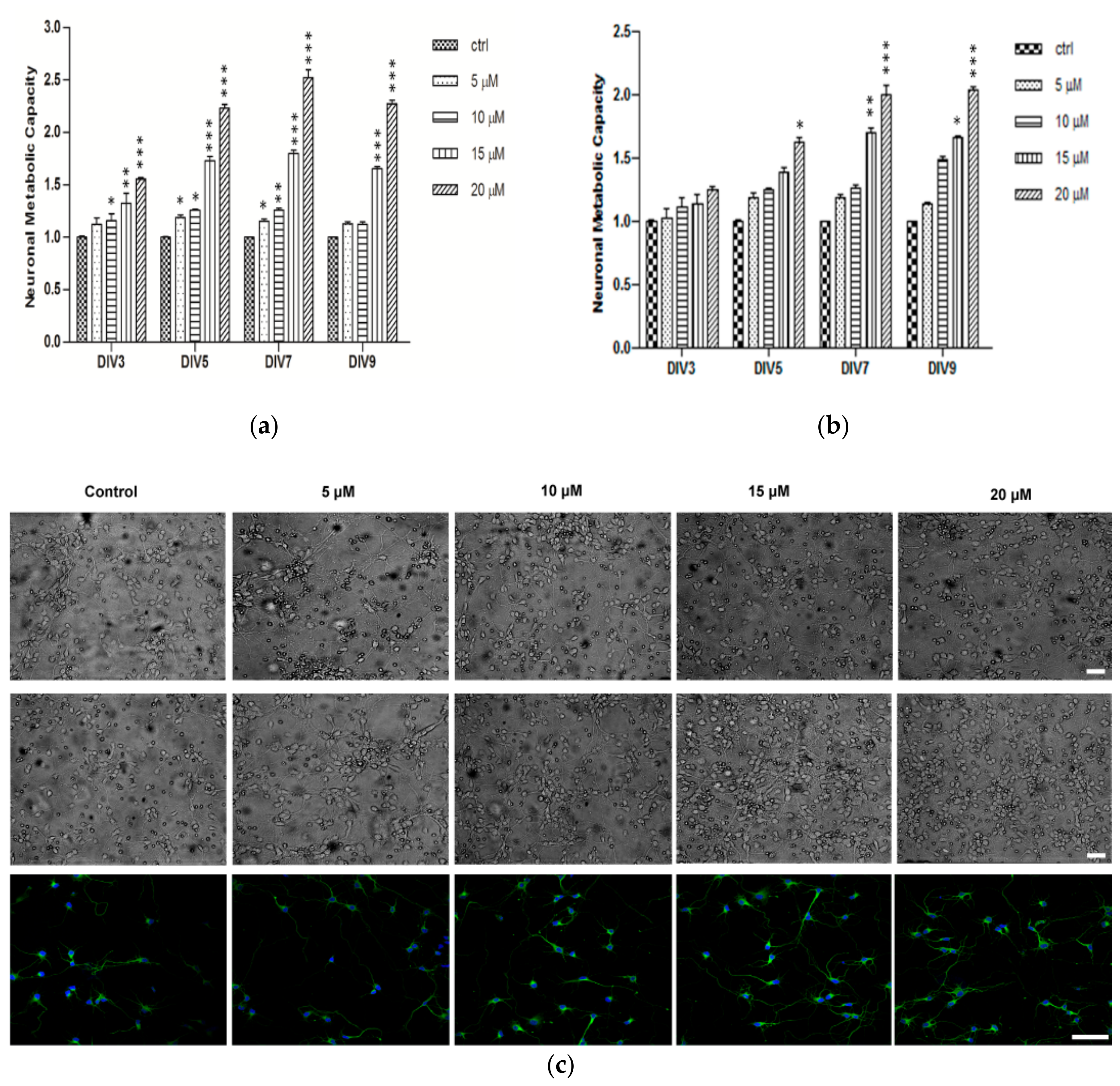 Marinedrugs 16 00218 g005
