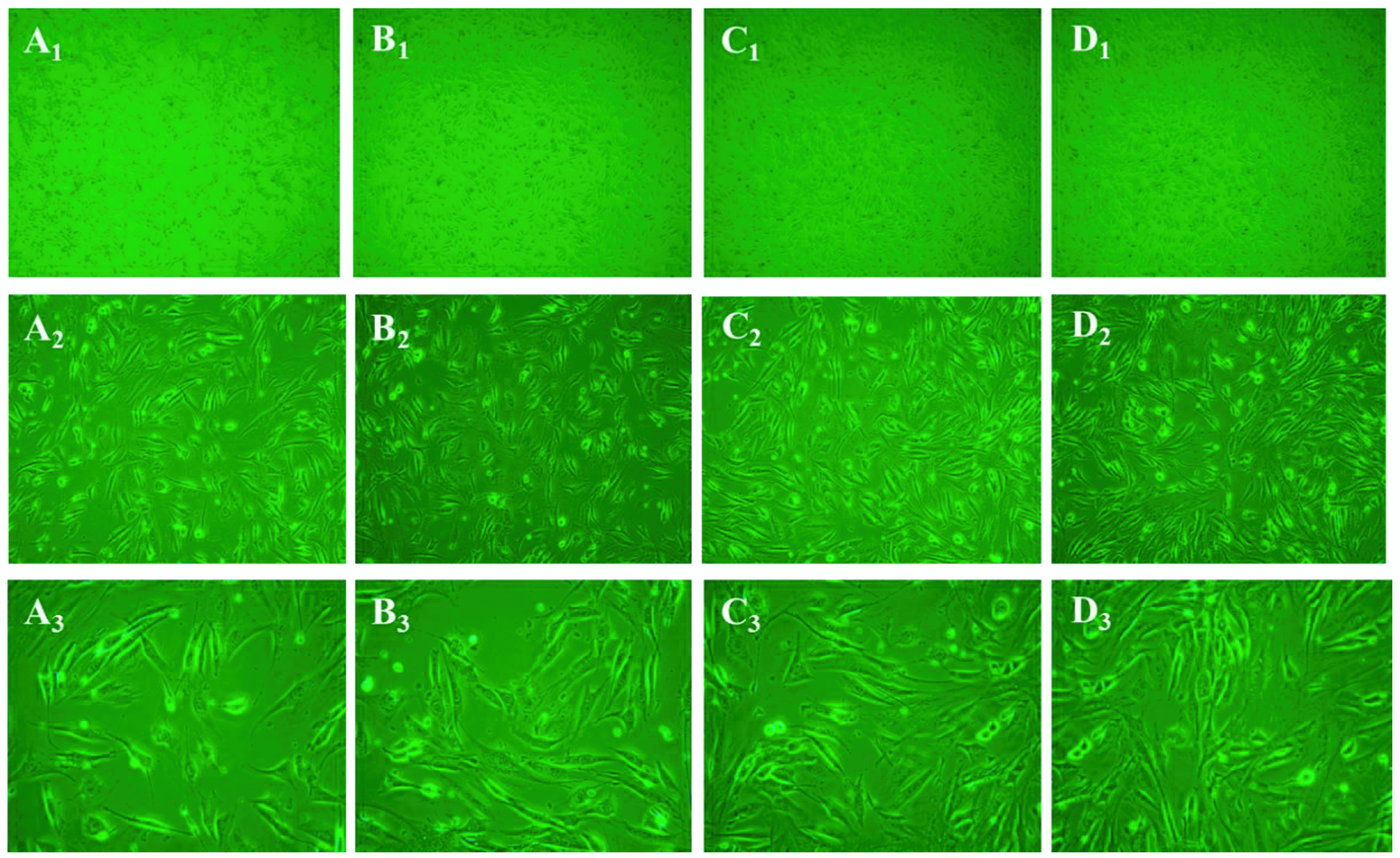 Marinedrugs 16 00222 g008 Marinedrugs 16 00222 g008