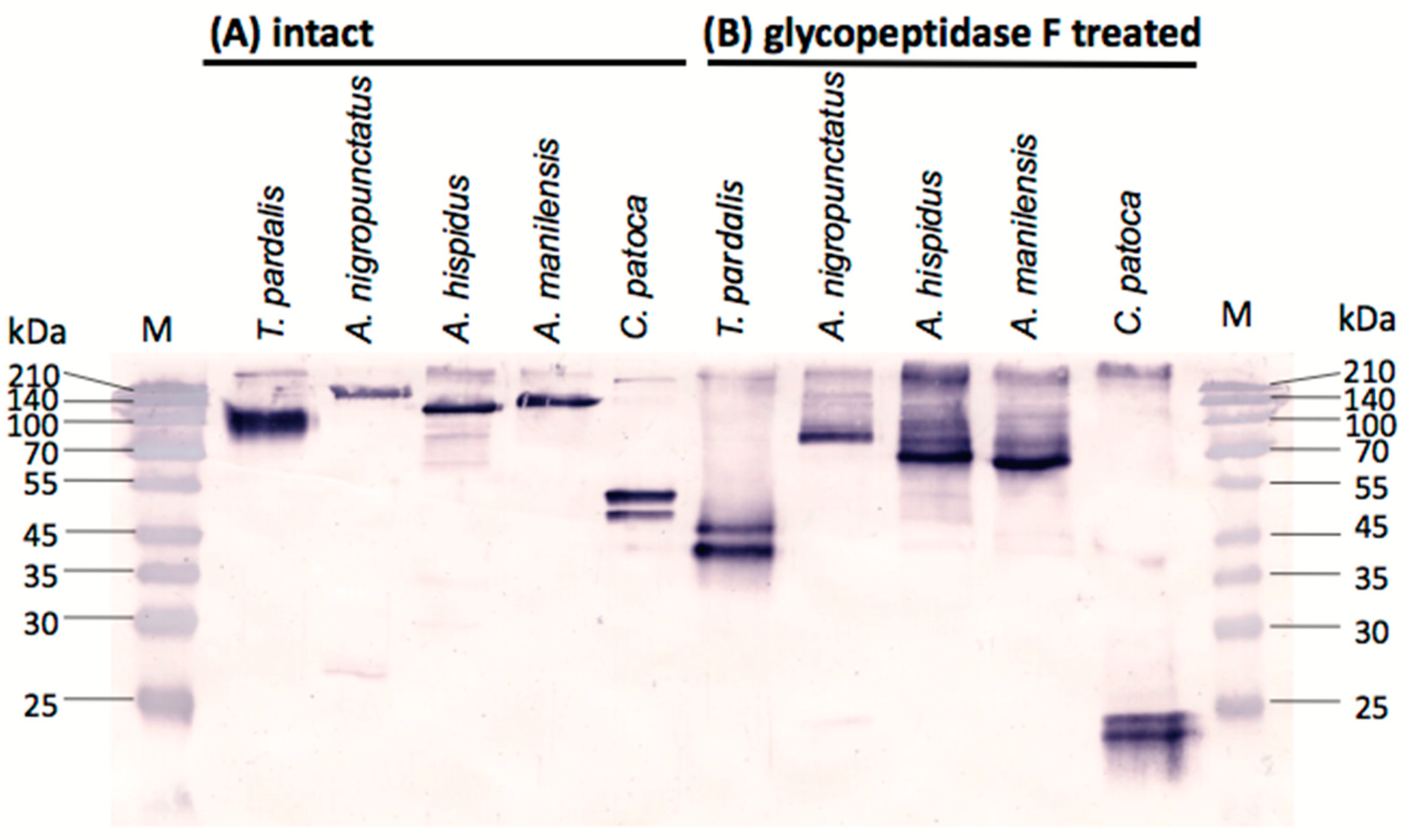 Marinedrugs 16 00224 g003 Marinedrugs 16 00224 g003