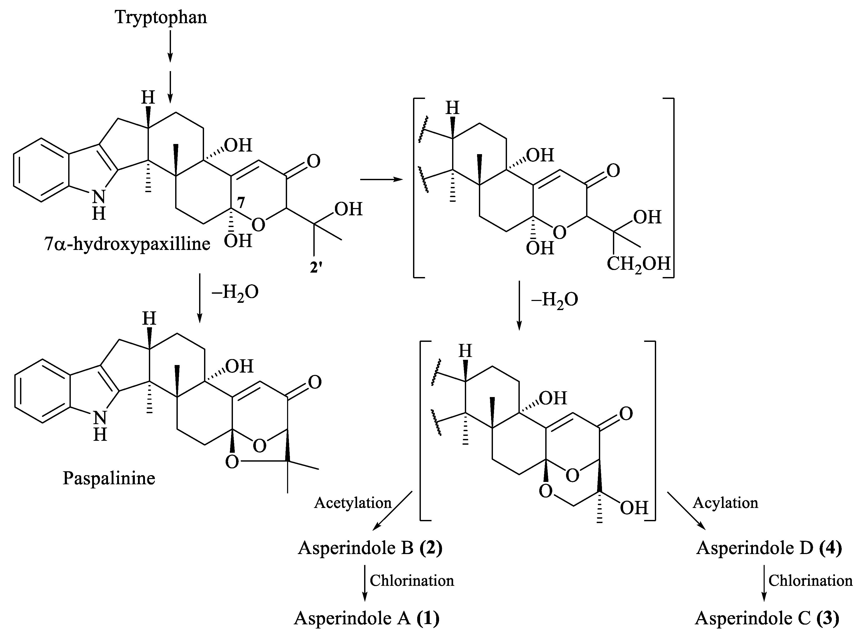Marinedrugs 16 00232 g007
