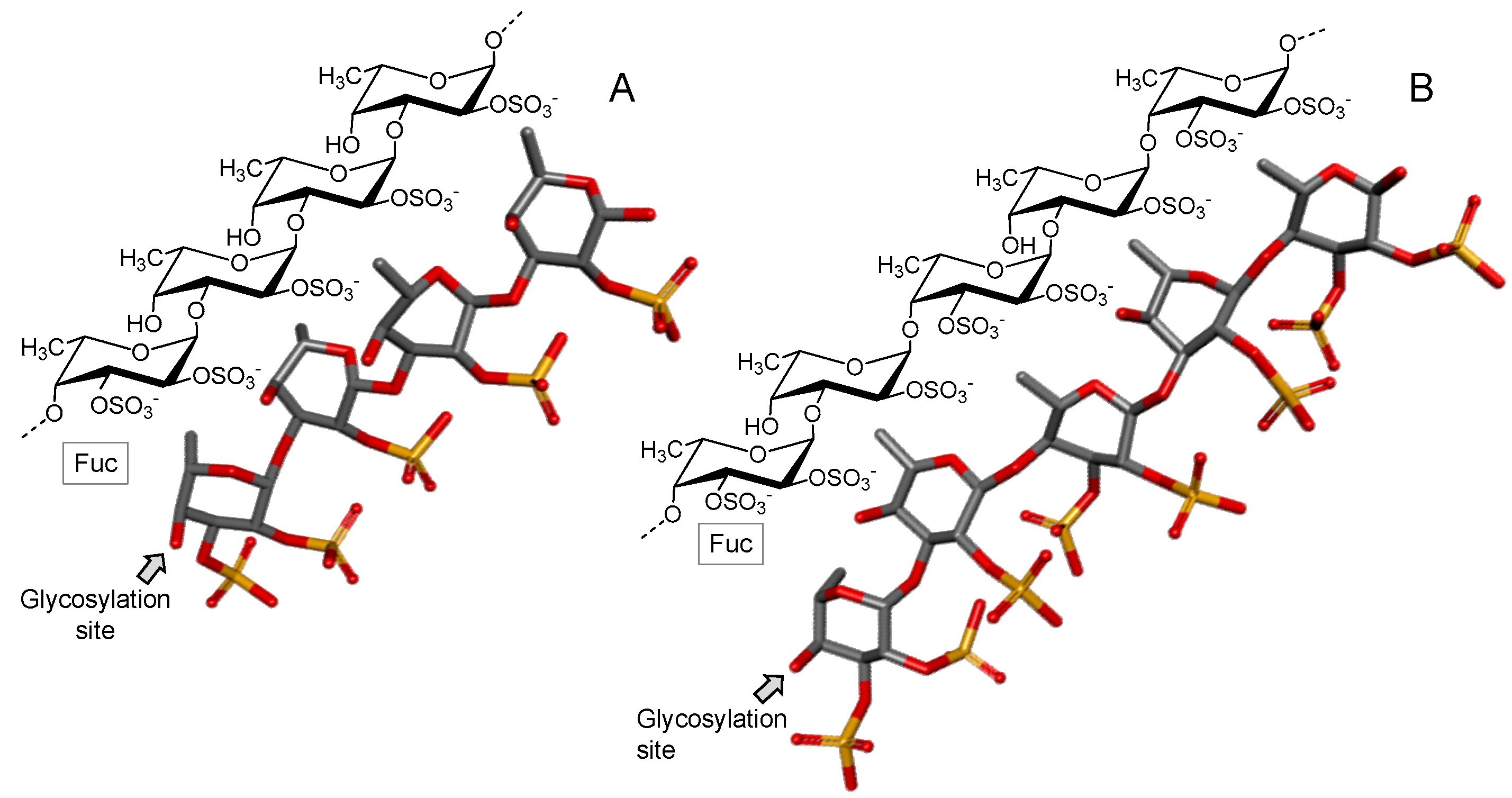 Marine Drugs Free Full Text Marine Carbohydrate Based Compounds With Medicinal Properties Html