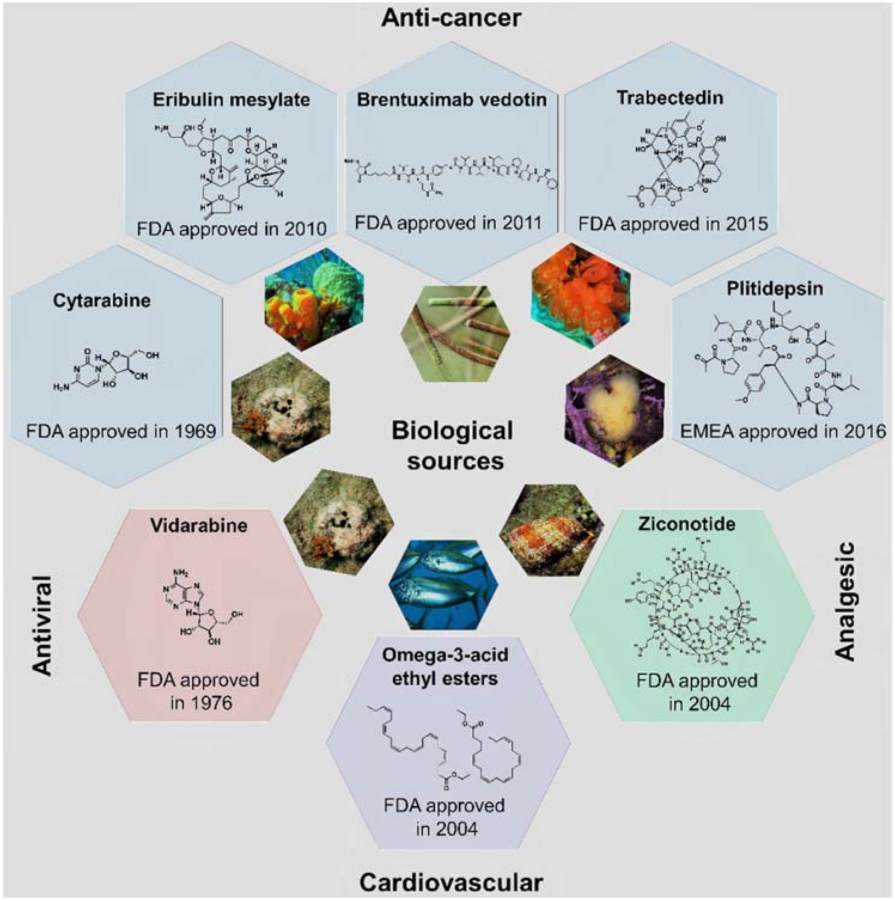 Marinedrugs 16 00236 g004 Marinedrugs 16 00236 g004