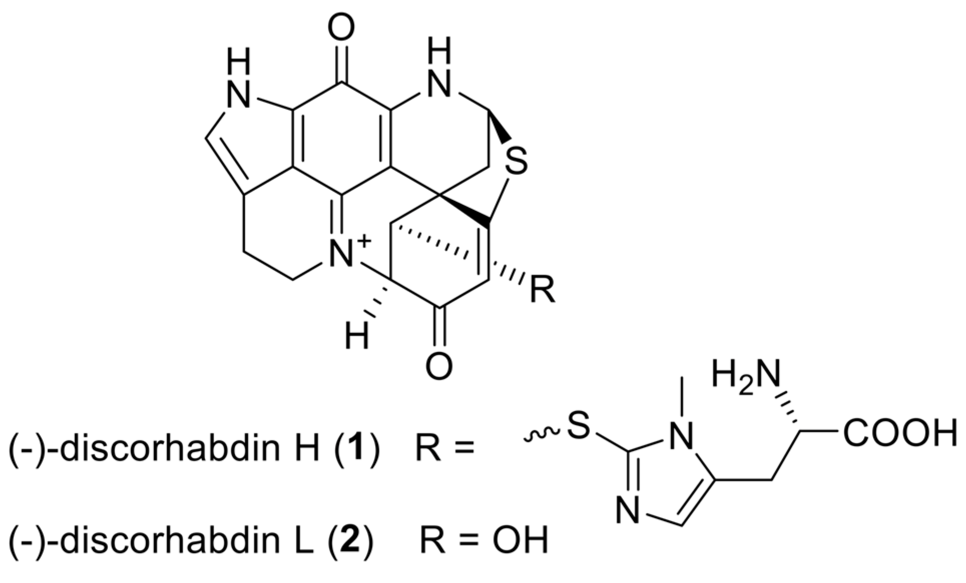 Marinedrugs 16 00241 g001