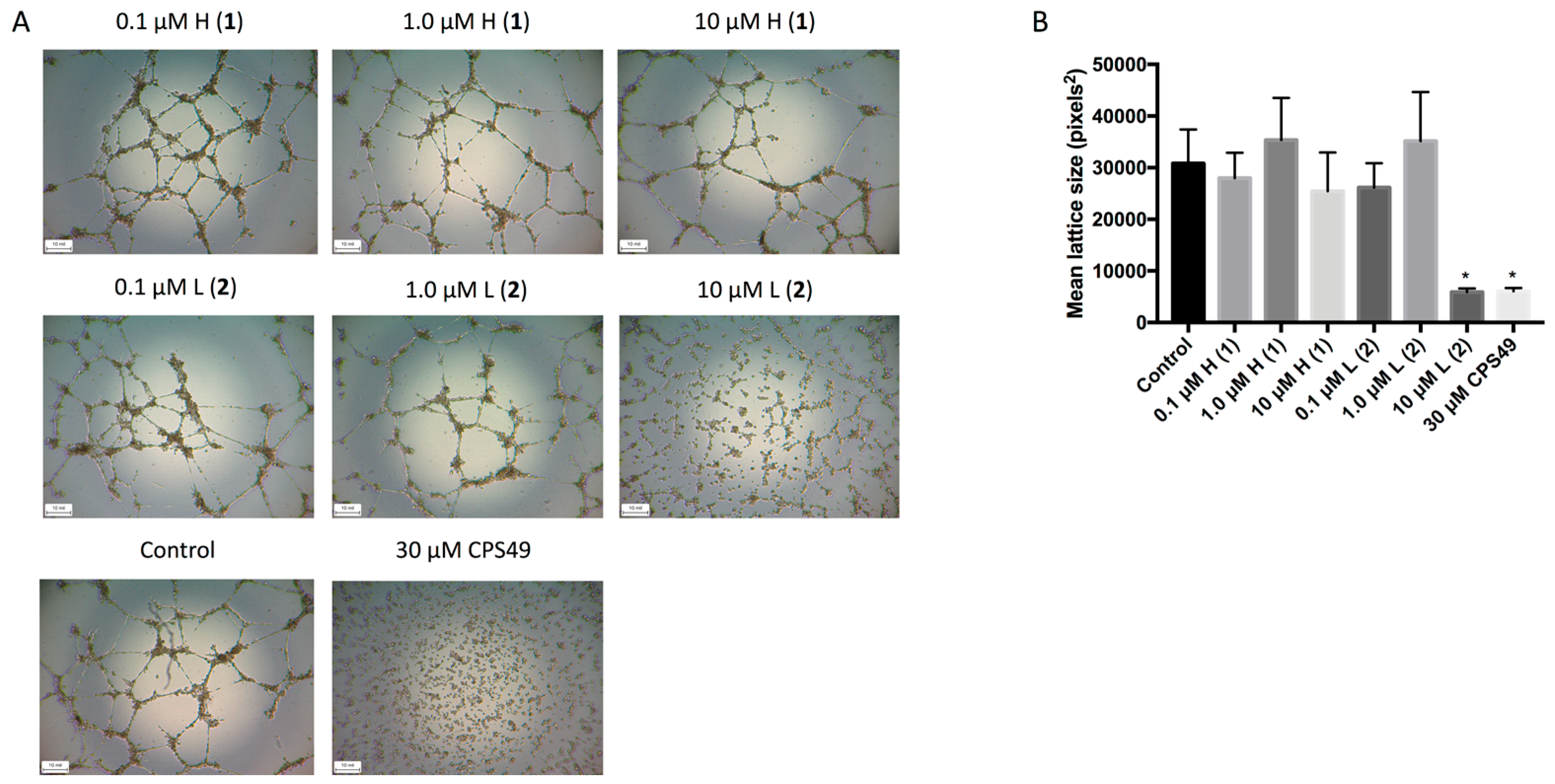 Marinedrugs 16 00241 g003