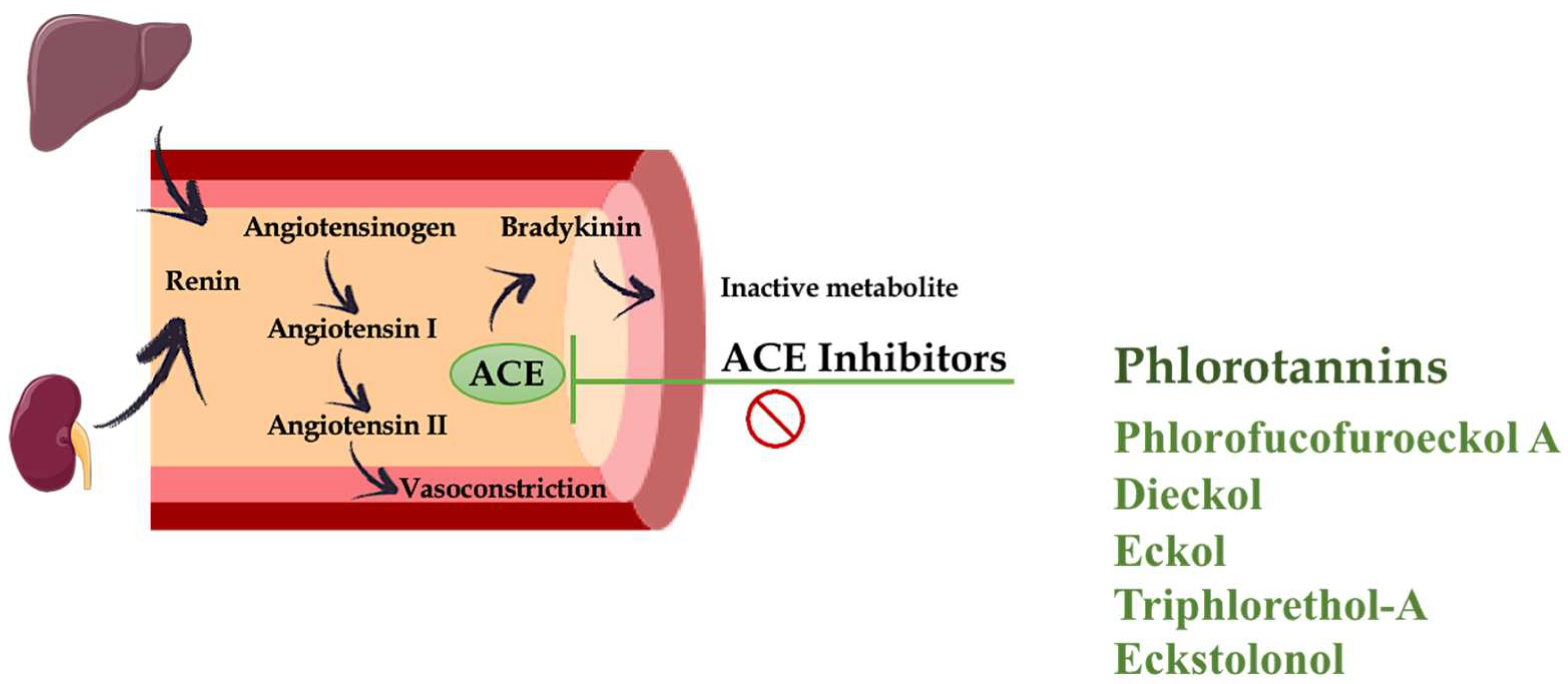 Marinedrugs 16 00250 g003 Marinedrugs 16 00250 g003