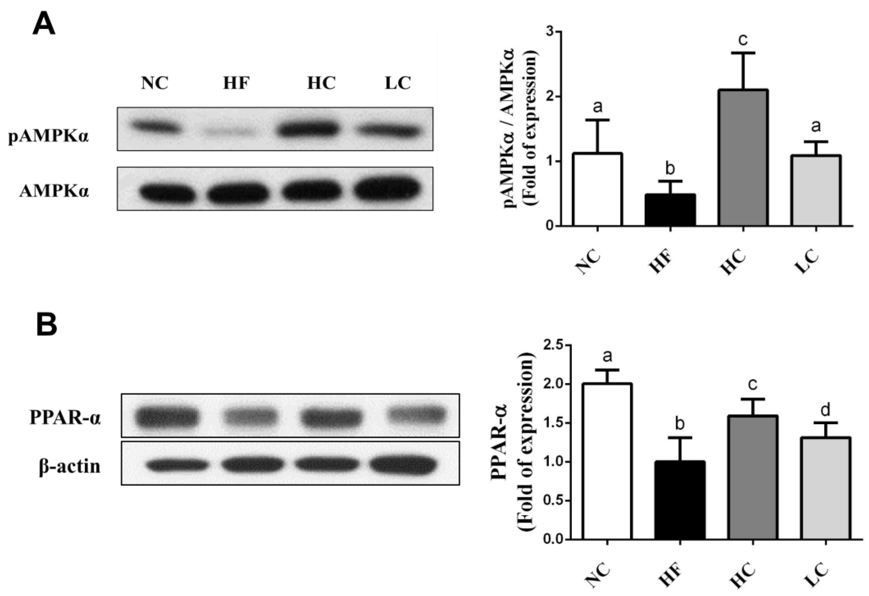 Marinedrugs 16 00251 g003