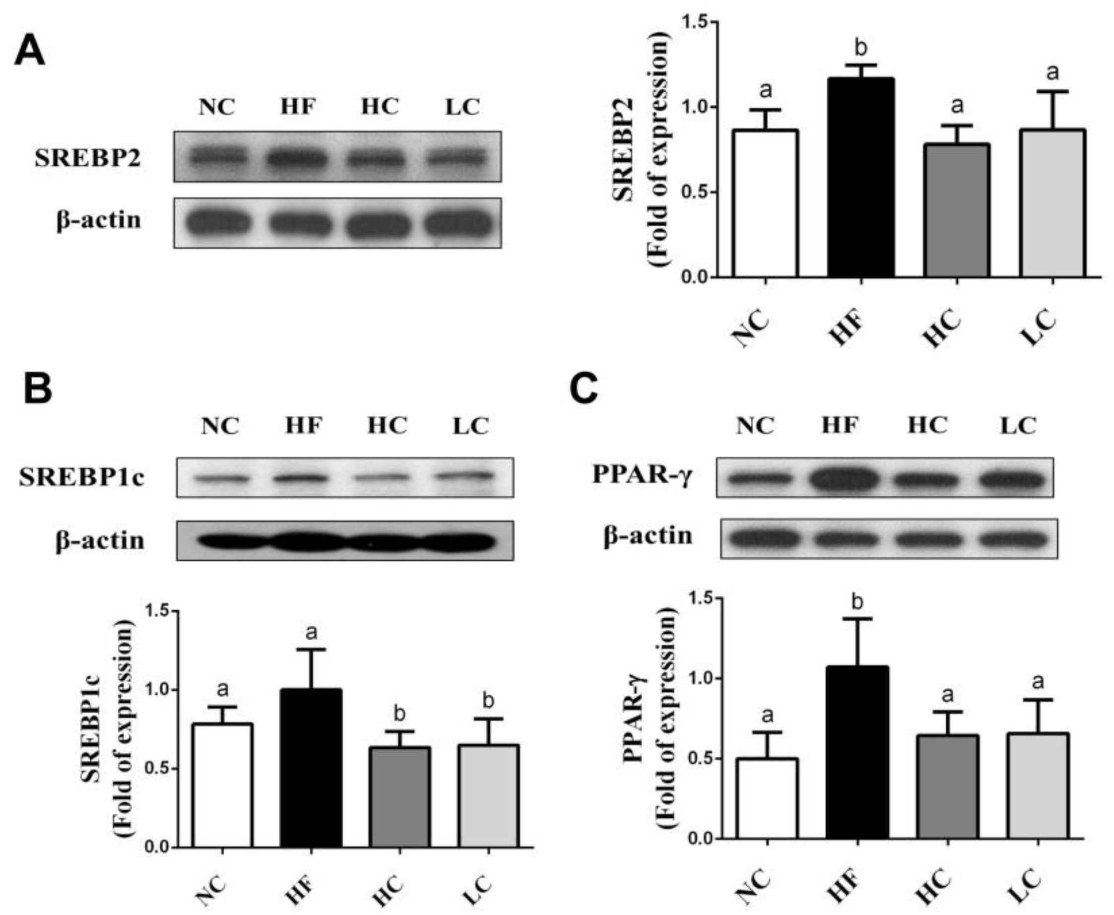 Marinedrugs 16 00251 g004