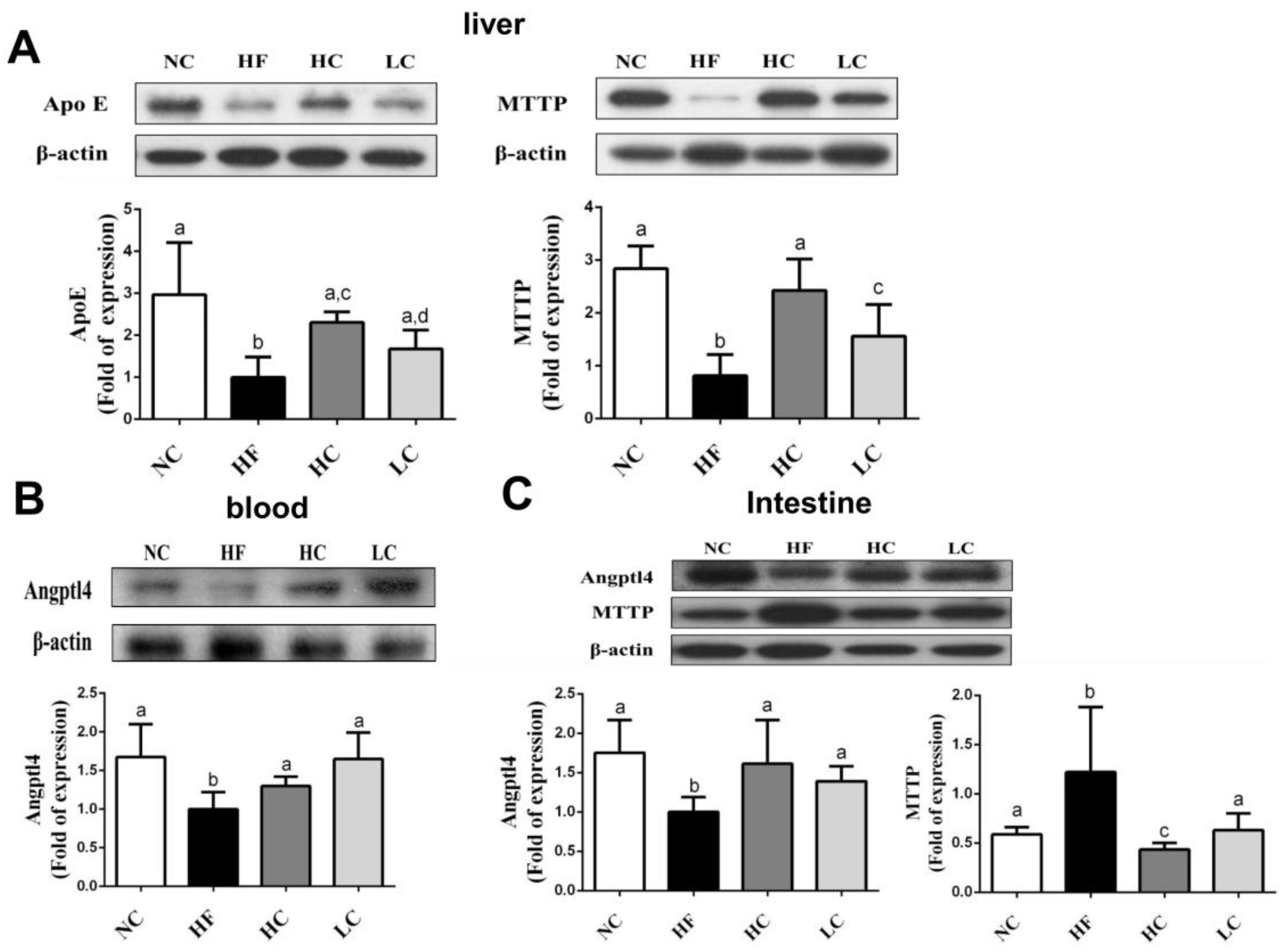 Marinedrugs 16 00251 g005