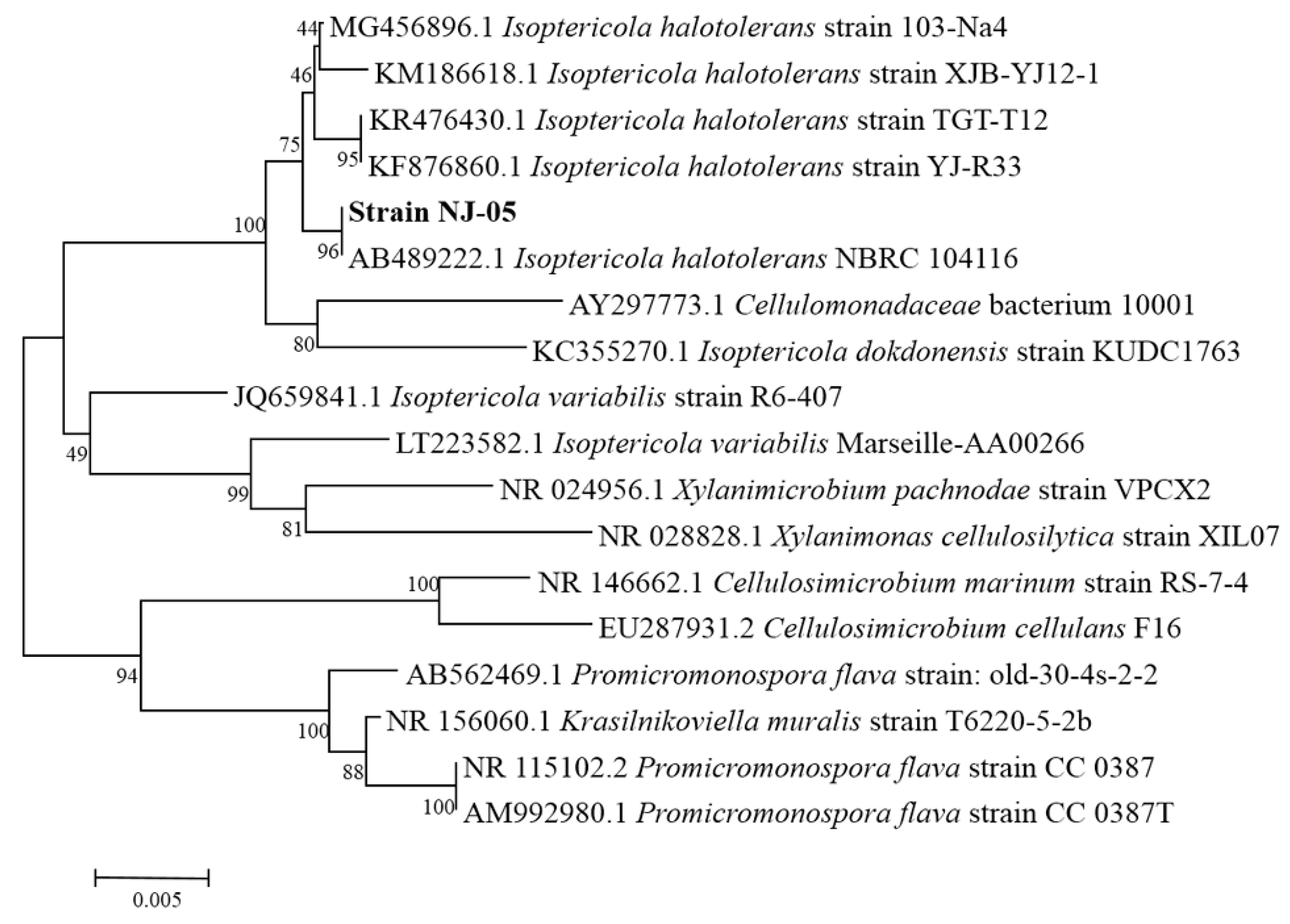 Marinedrugs 16 00258 g001 Marinedrugs 16 00258 g001