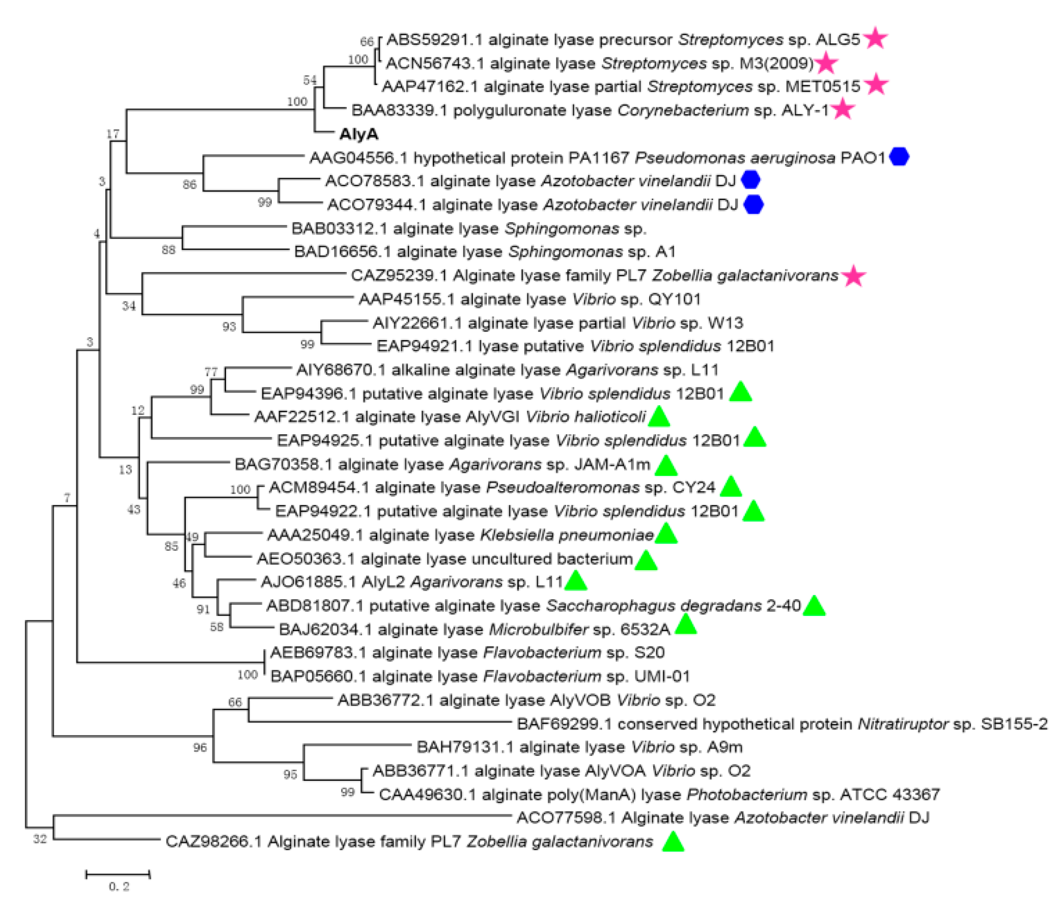 Marinedrugs 16 00258 g003 Marinedrugs 16 00258 g003