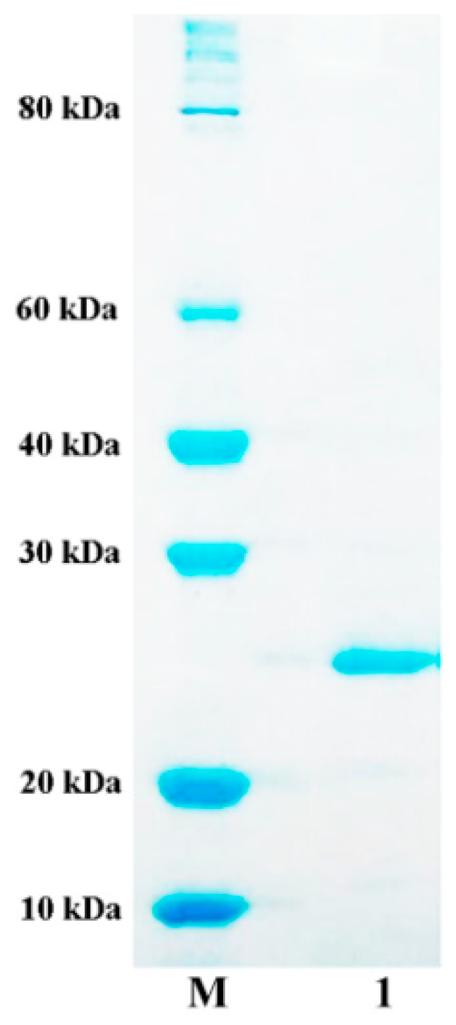 Marinedrugs 16 00258 g004 Marinedrugs 16 00258 g004