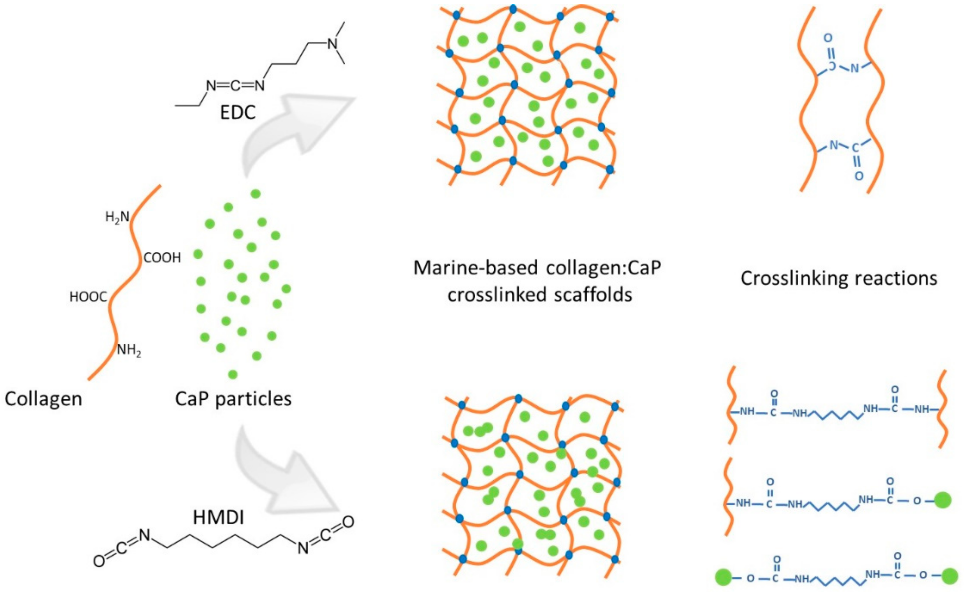 Marinedrugs 16 00269 sch001 Marinedrugs 16 00269 sch001