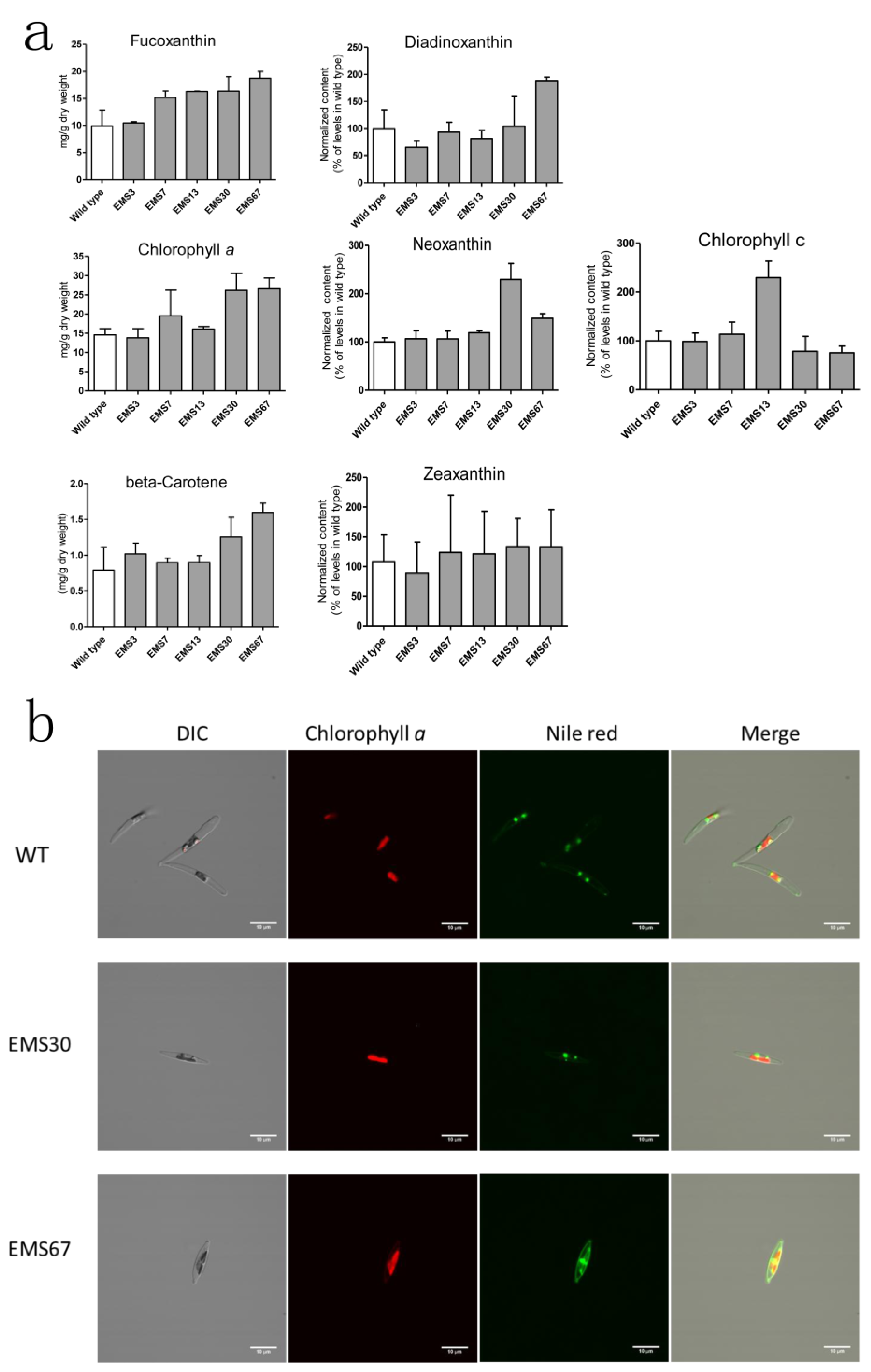 Marinedrugs 16 00272 g004 Marinedrugs 16 00272 g004