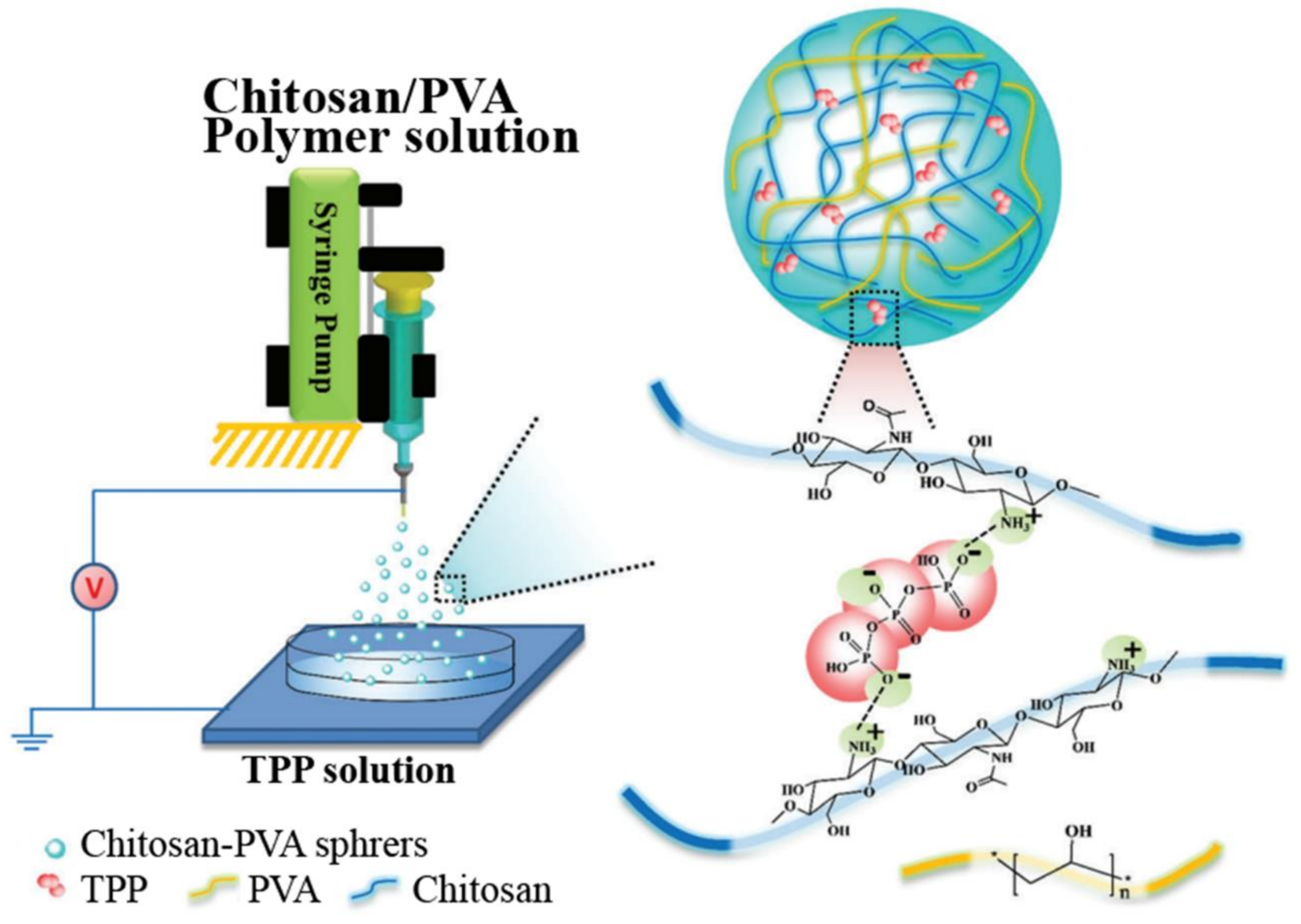 Marinedrugs 16 00273 g011 Marinedrugs 16 00273 g011