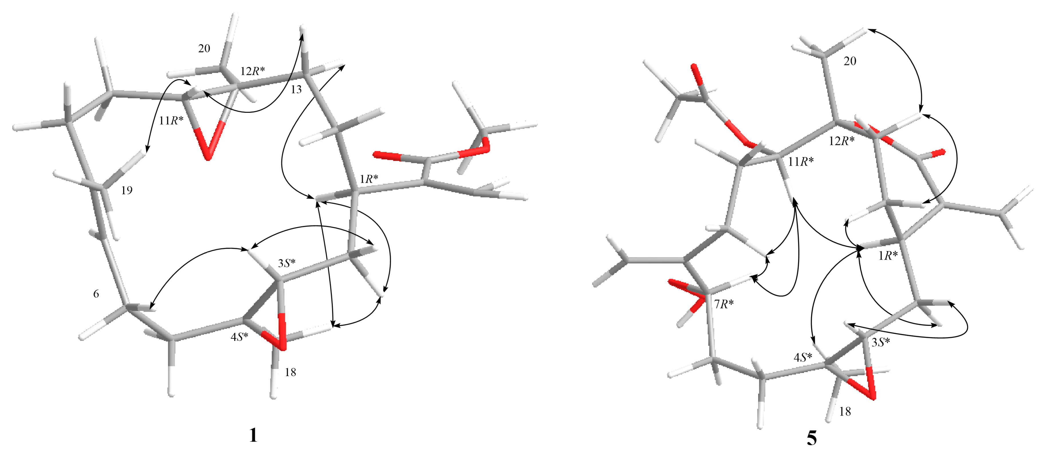 Marinedrugs 16 00278 g004 Marinedrugs 16 00278 g004