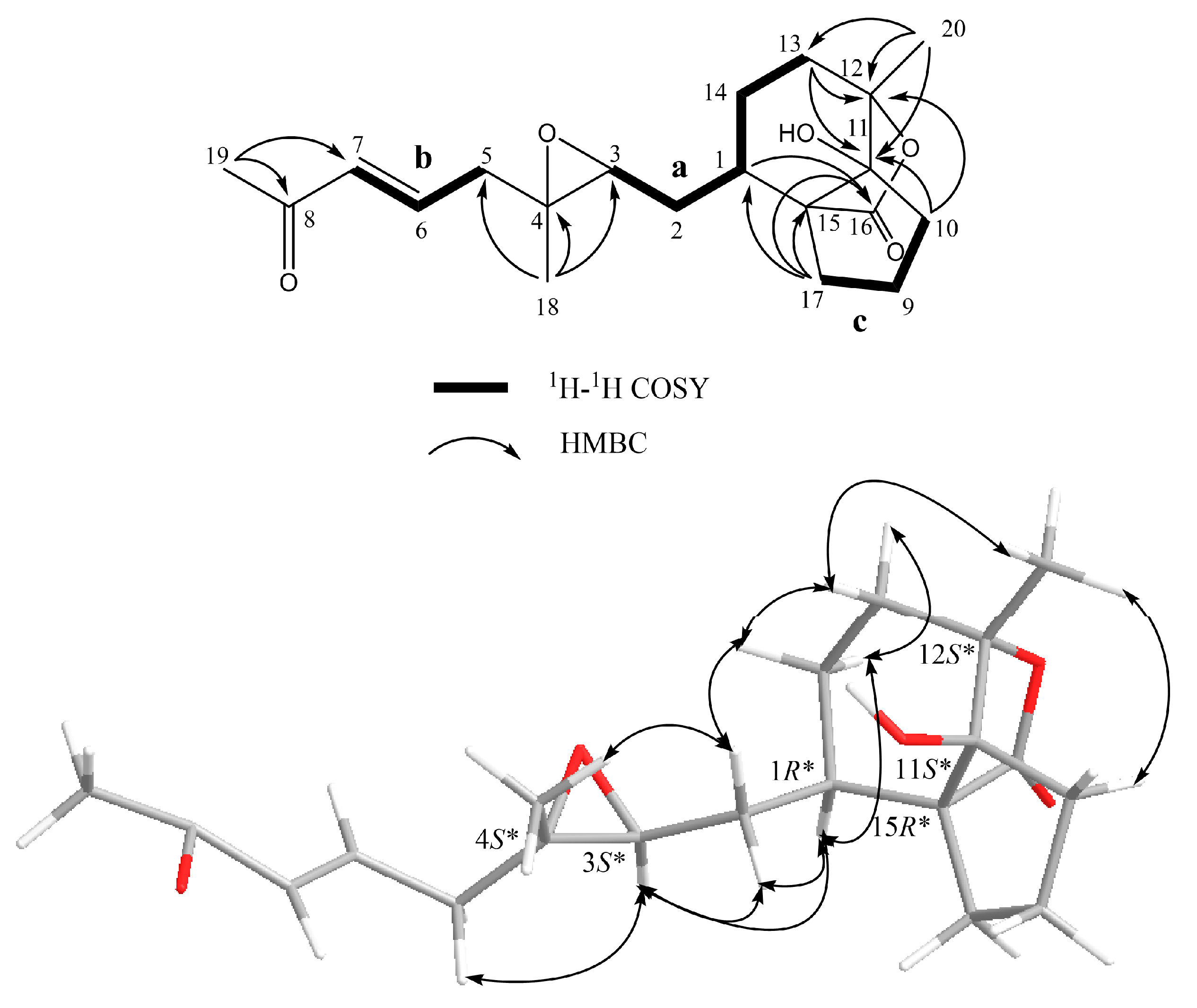 Marinedrugs 16 00278 g005 Marinedrugs 16 00278 g005