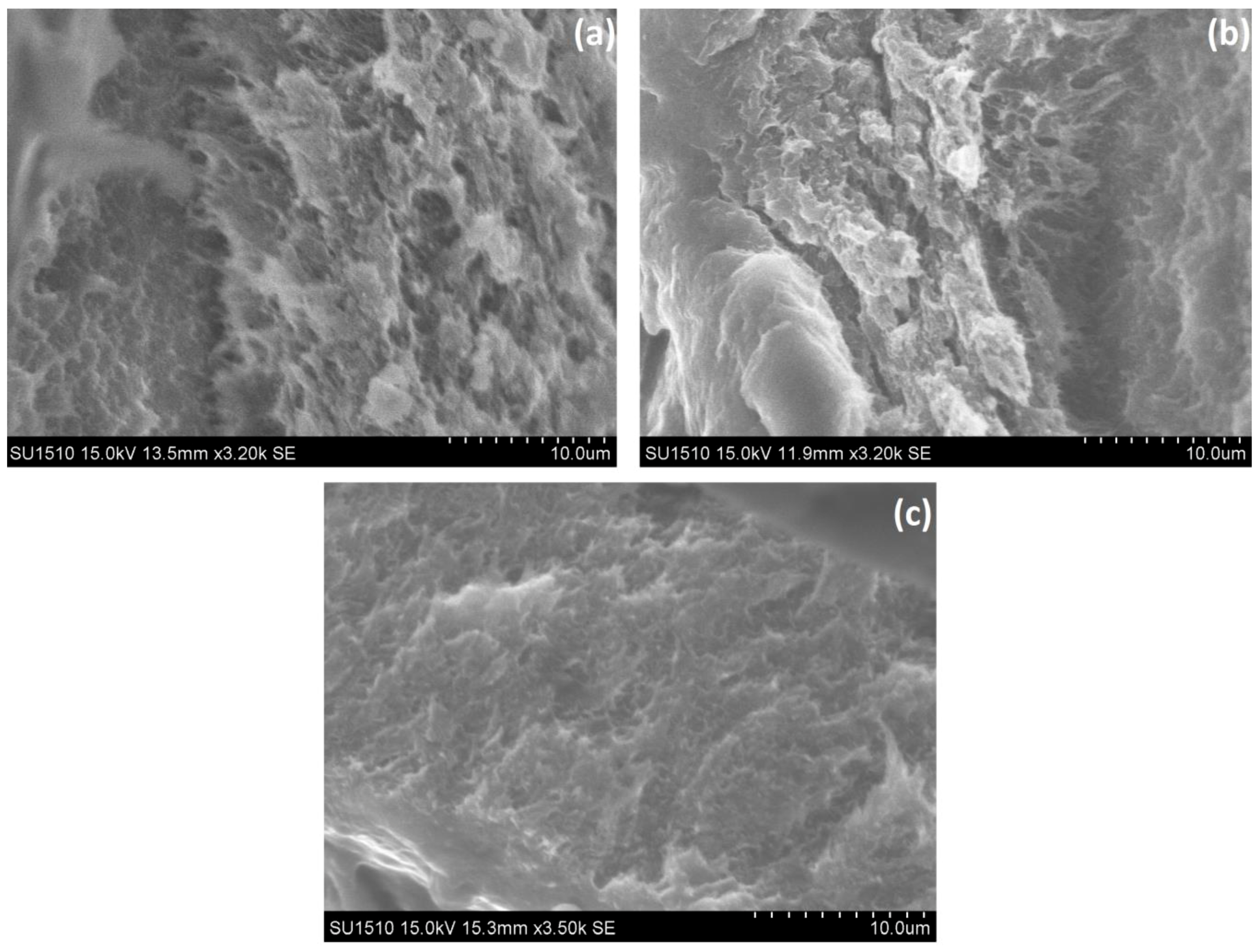 Marinedrugs 16 00287 g002 Marinedrugs 16 00287 g002