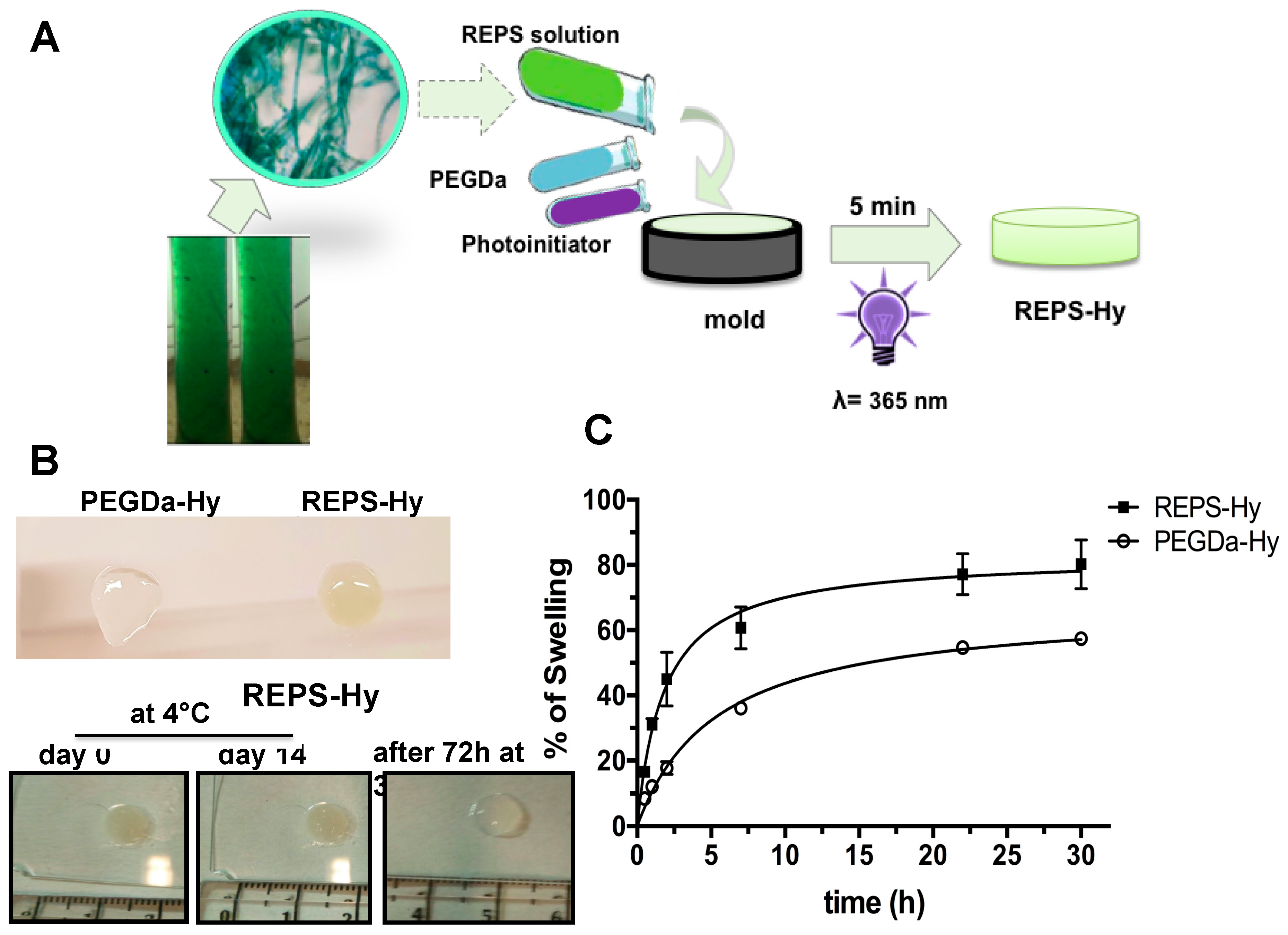 Marinedrugs 16 00298 g004 Marinedrugs 16 00298 g004