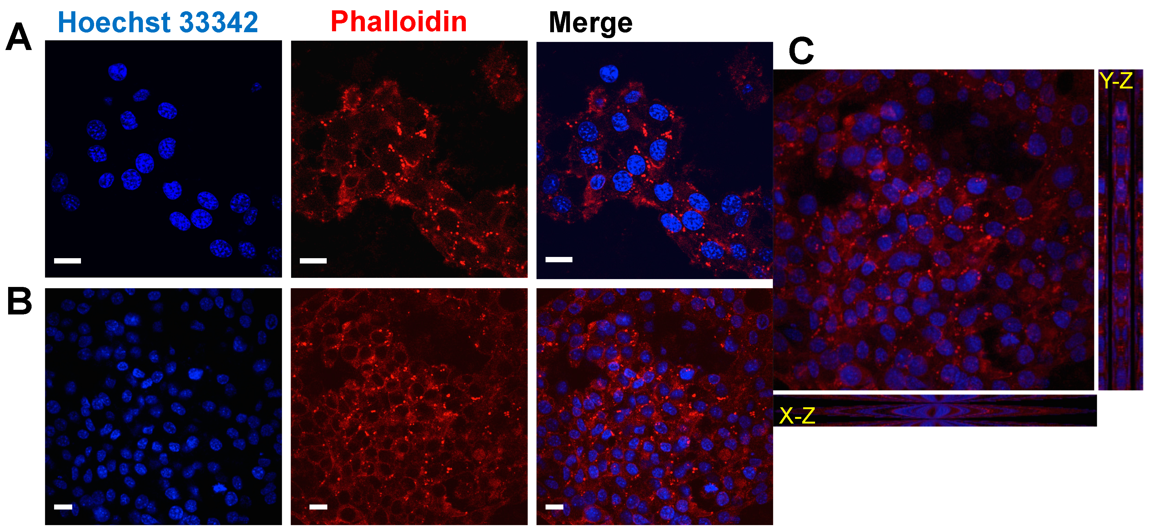 Marinedrugs 16 00298 g007 Marinedrugs 16 00298 g007