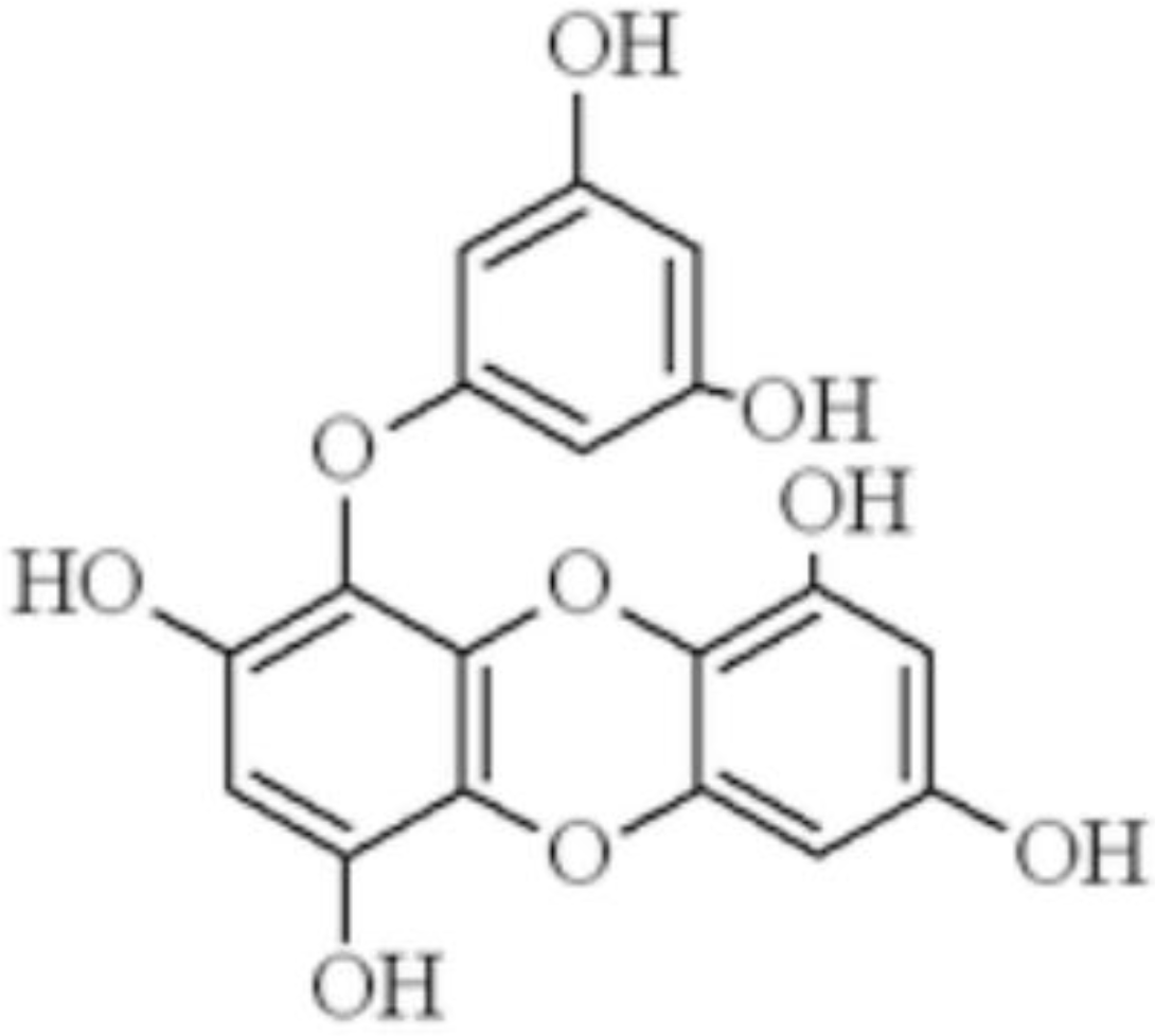 Marinedrugs 16 00300 g001 Marinedrugs 16 00300 g001