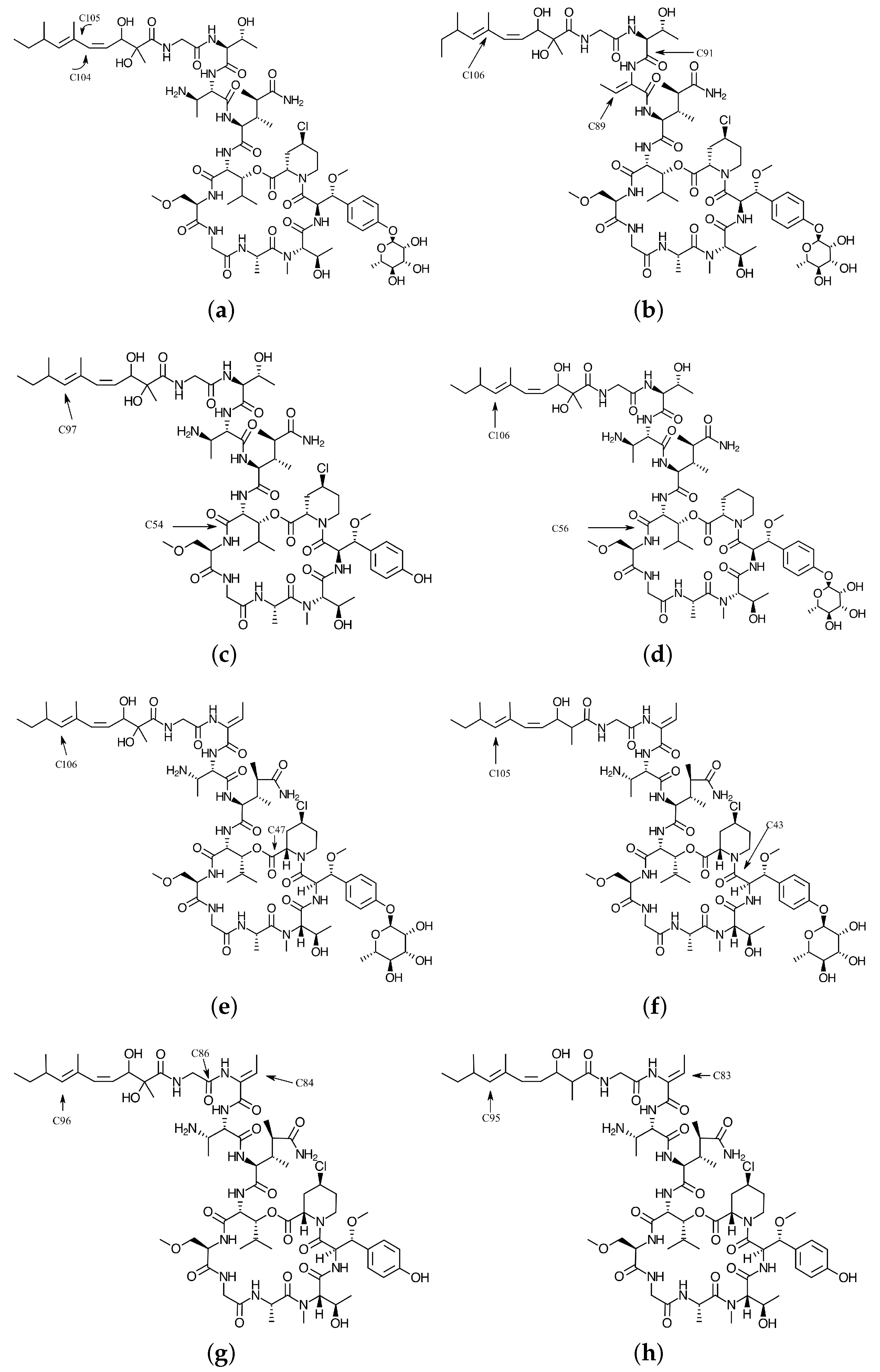 Marinedrugs 16 00302 g001