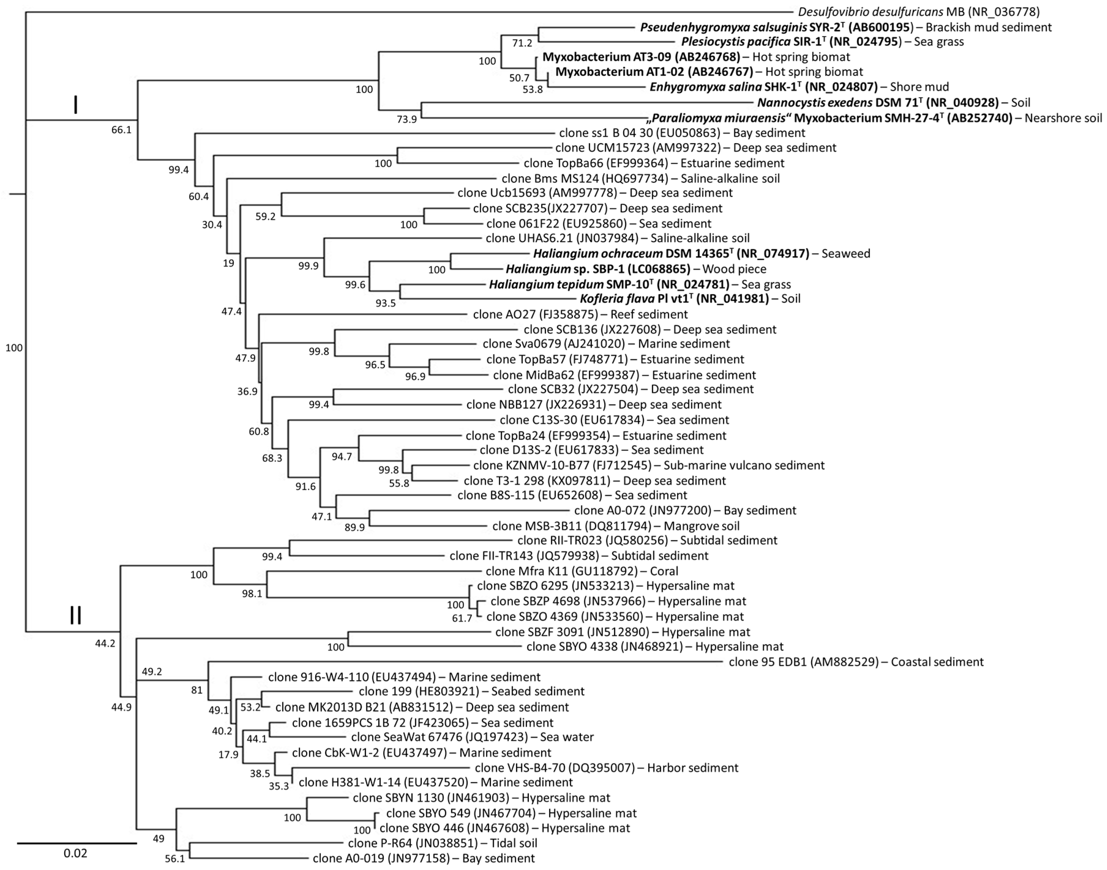 Marinedrugs 16 00303 g003 Marinedrugs 16 00303 g003