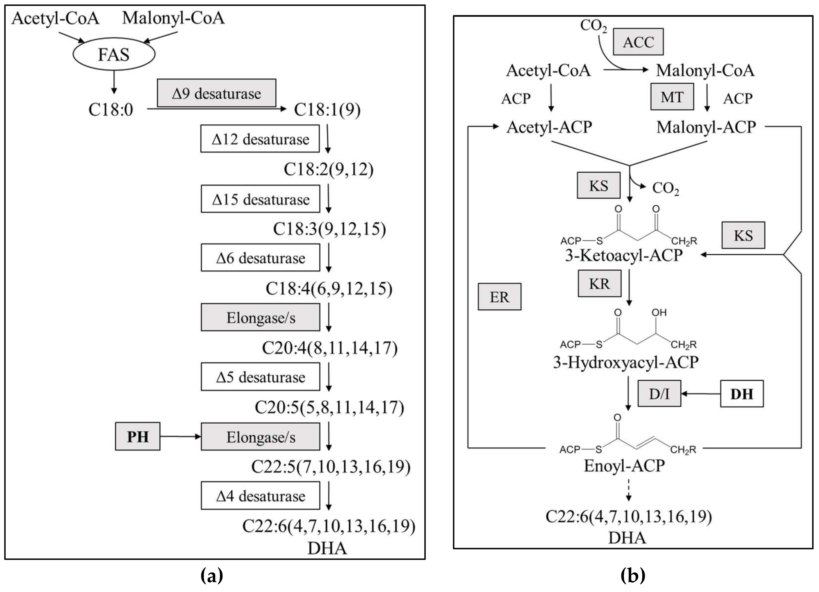 Marinedrugs 16 00310 g004 Marinedrugs 16 00310 g004
