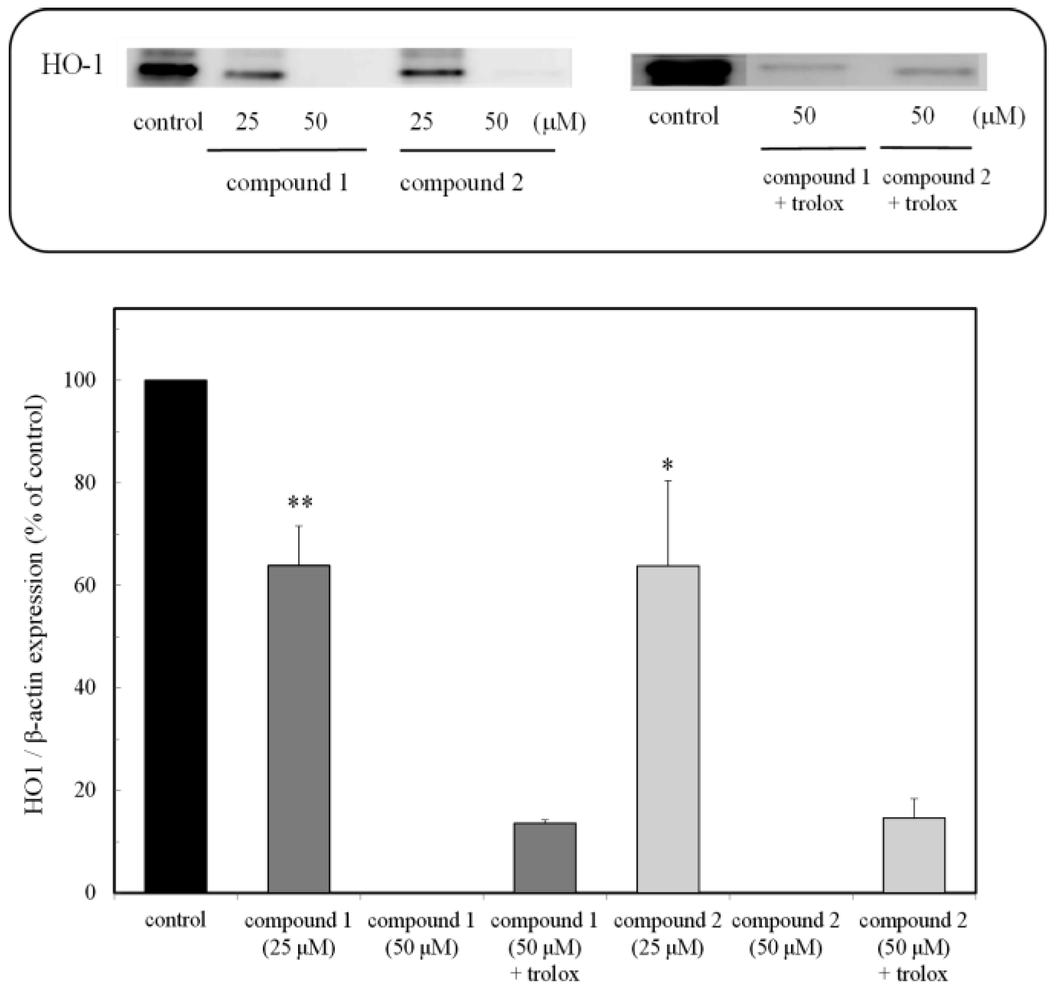 Apoptosis and Its Modulation by Drugs