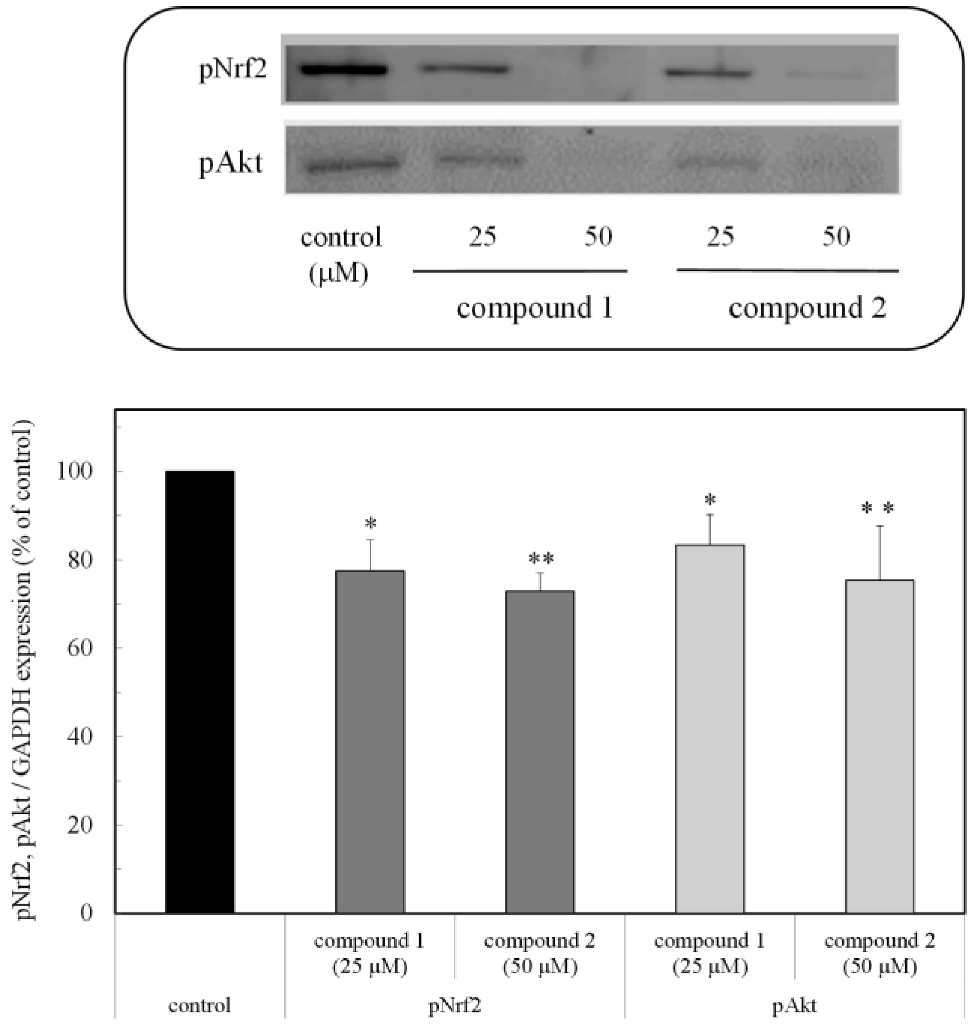 Marinedrugs 16 00347 g006 Marinedrugs 16 00347 g006