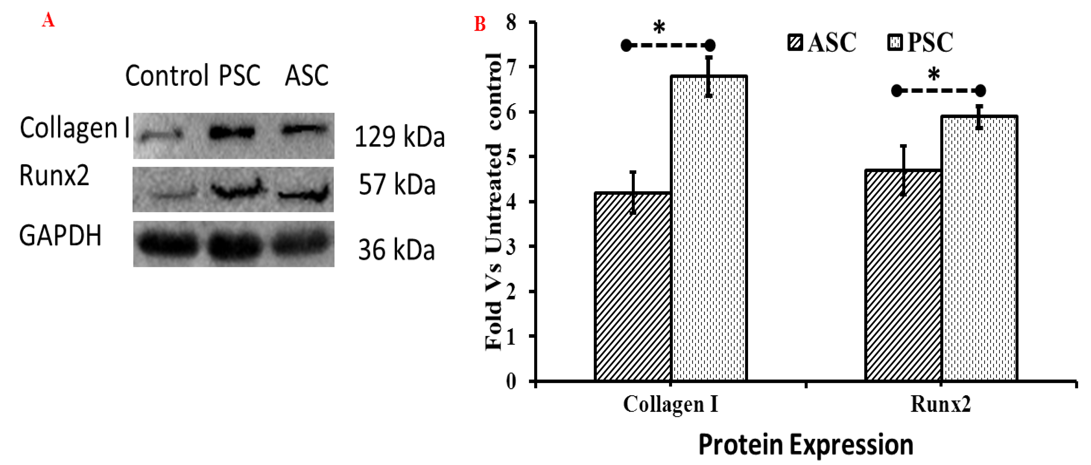 Marinedrugs 16 00350 g009 Marinedrugs 16 00350 g009